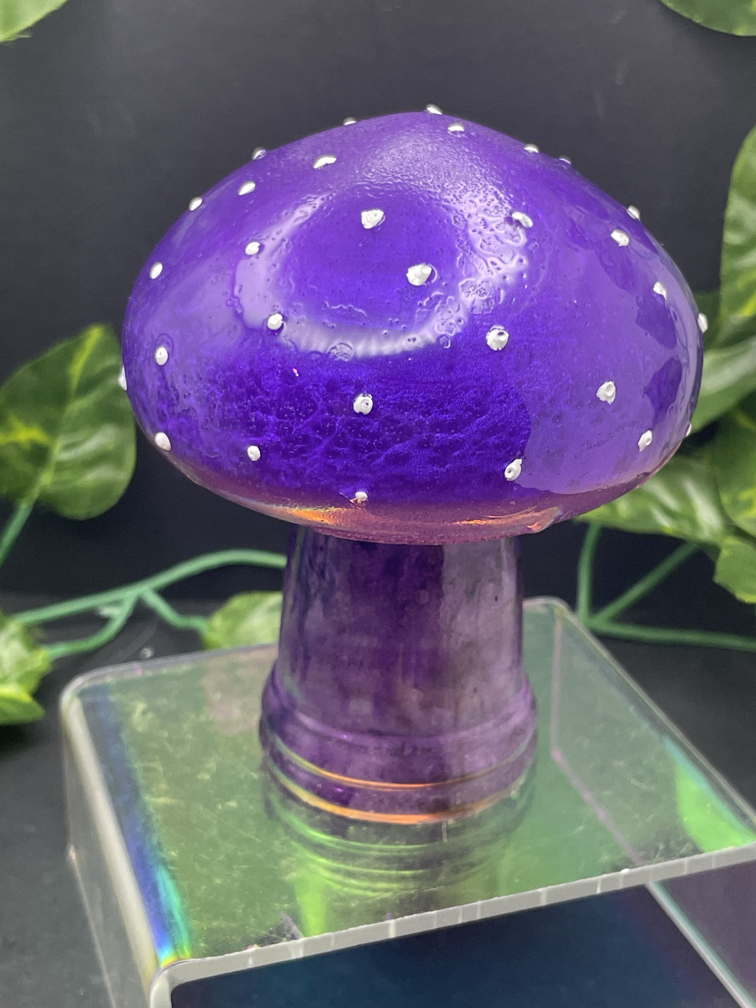 Tall Toadstool
