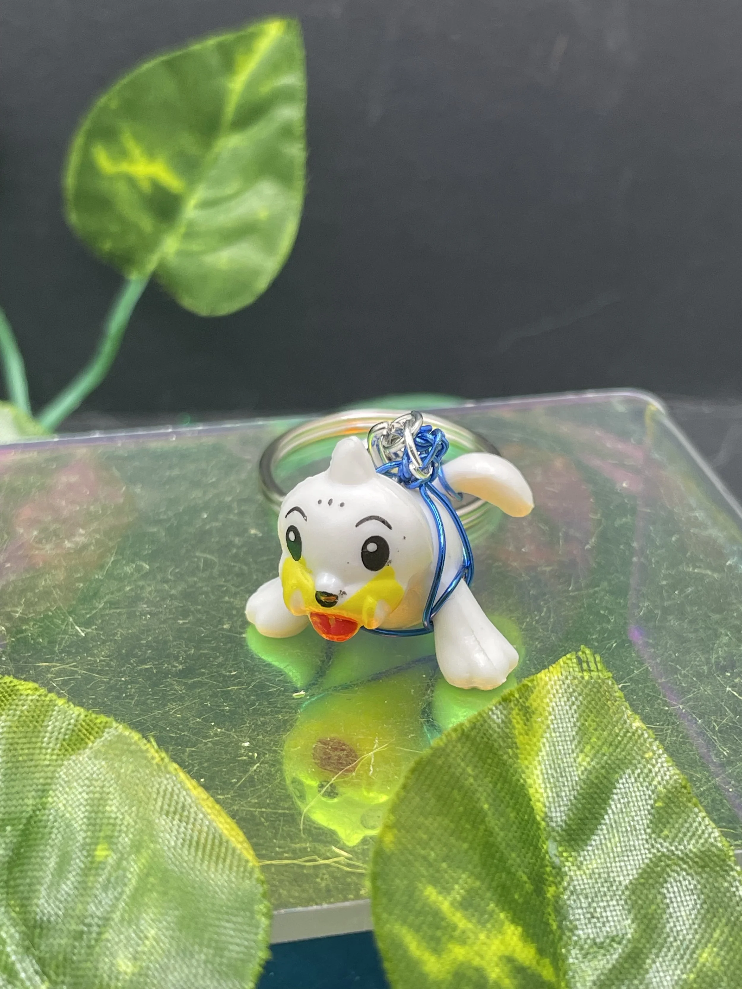Seel