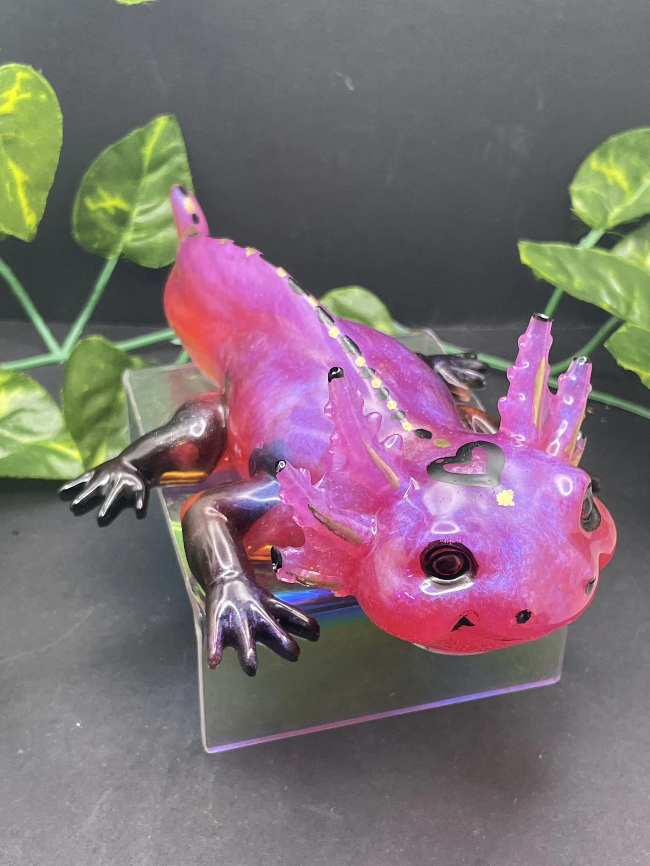 Axolotl