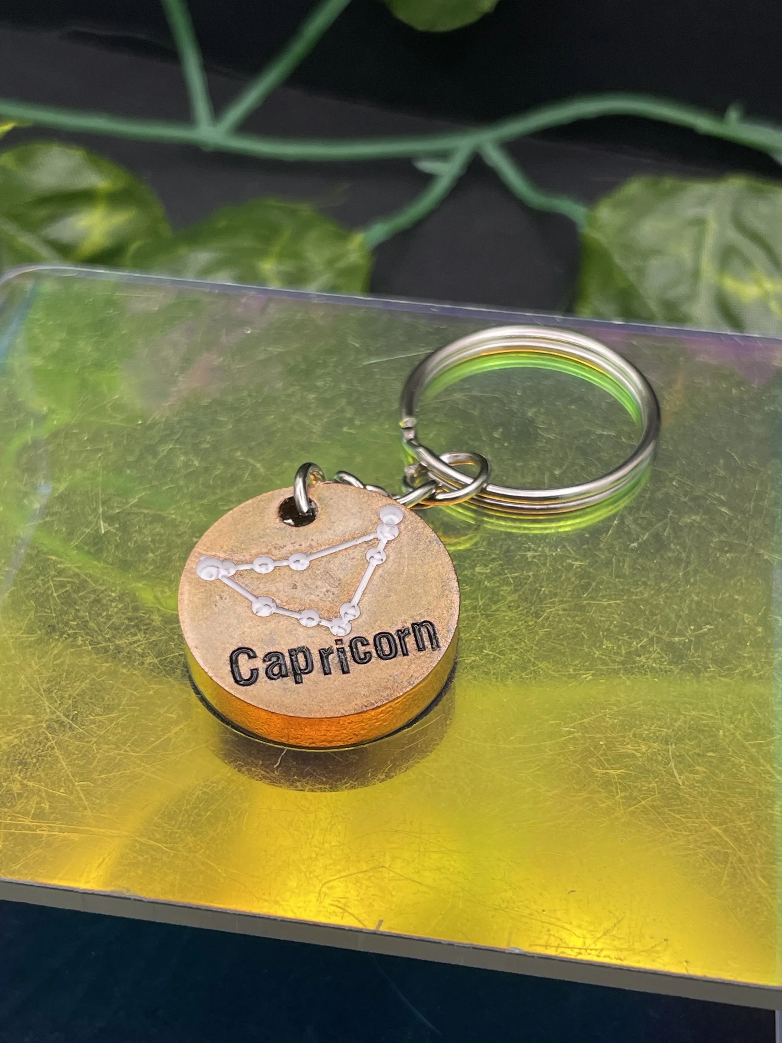 Capricorn Constellation