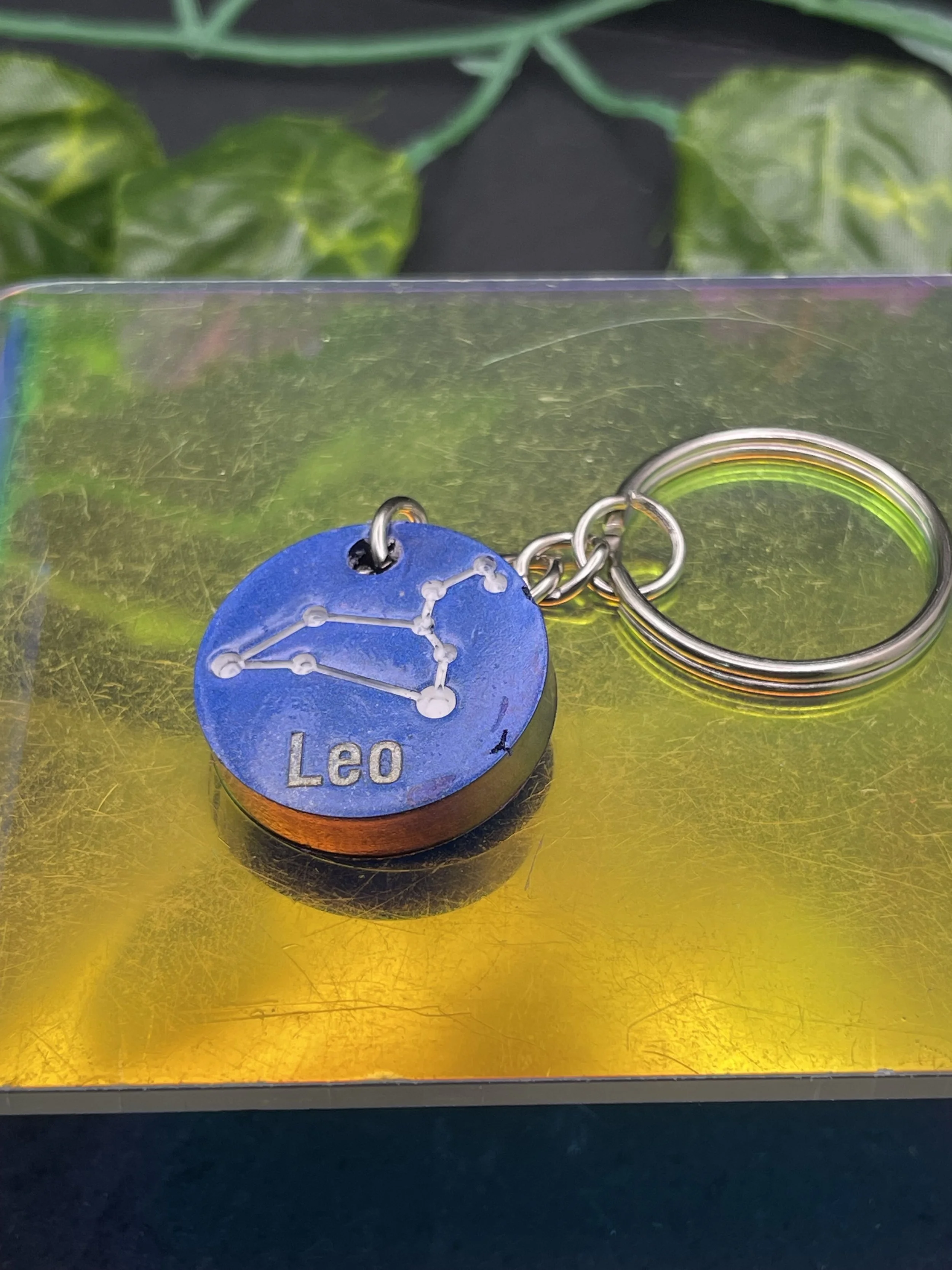 Leo Constellation