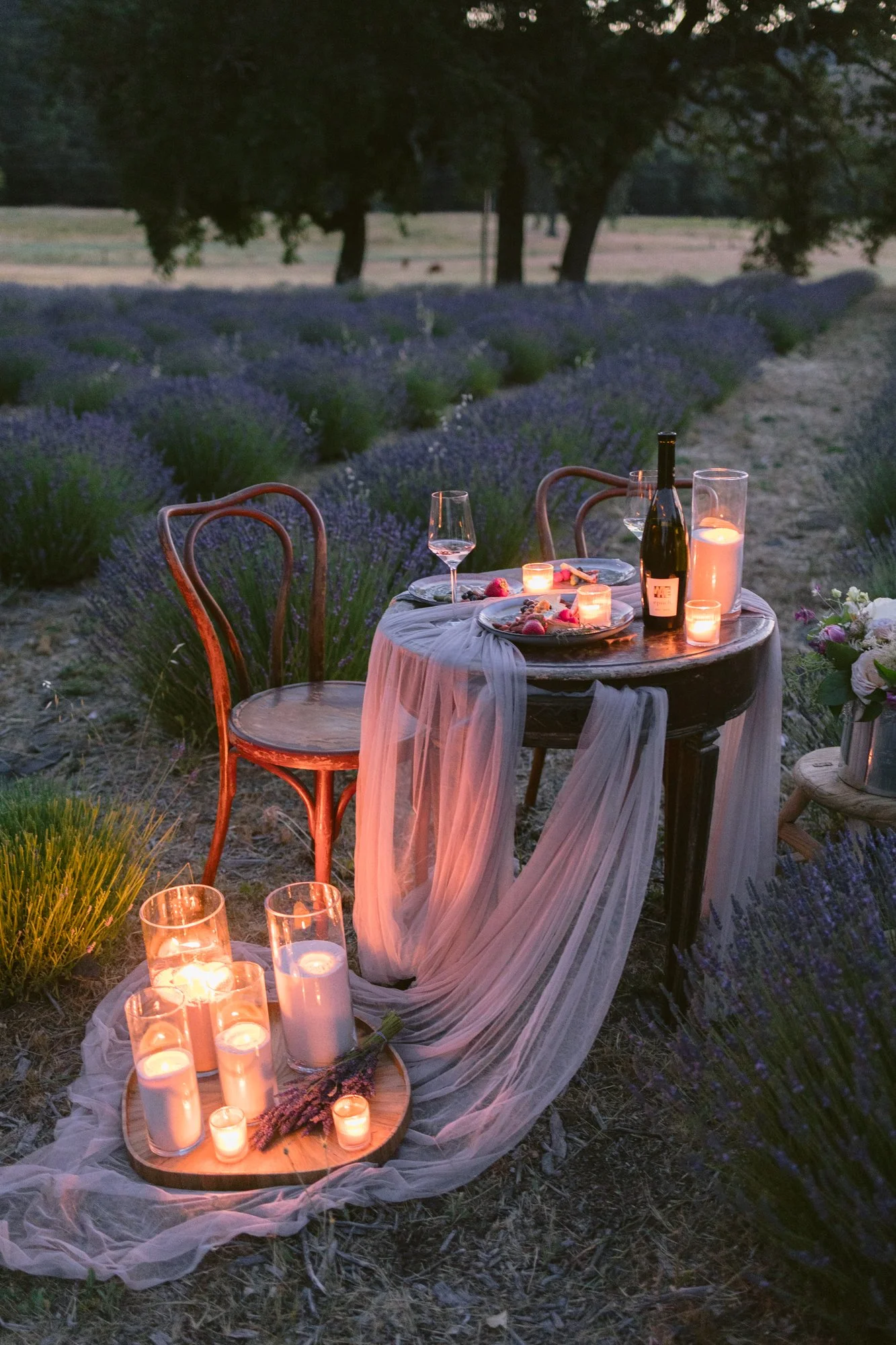 Star-filled night sky portraits after a Paso Robles elopement ceremony