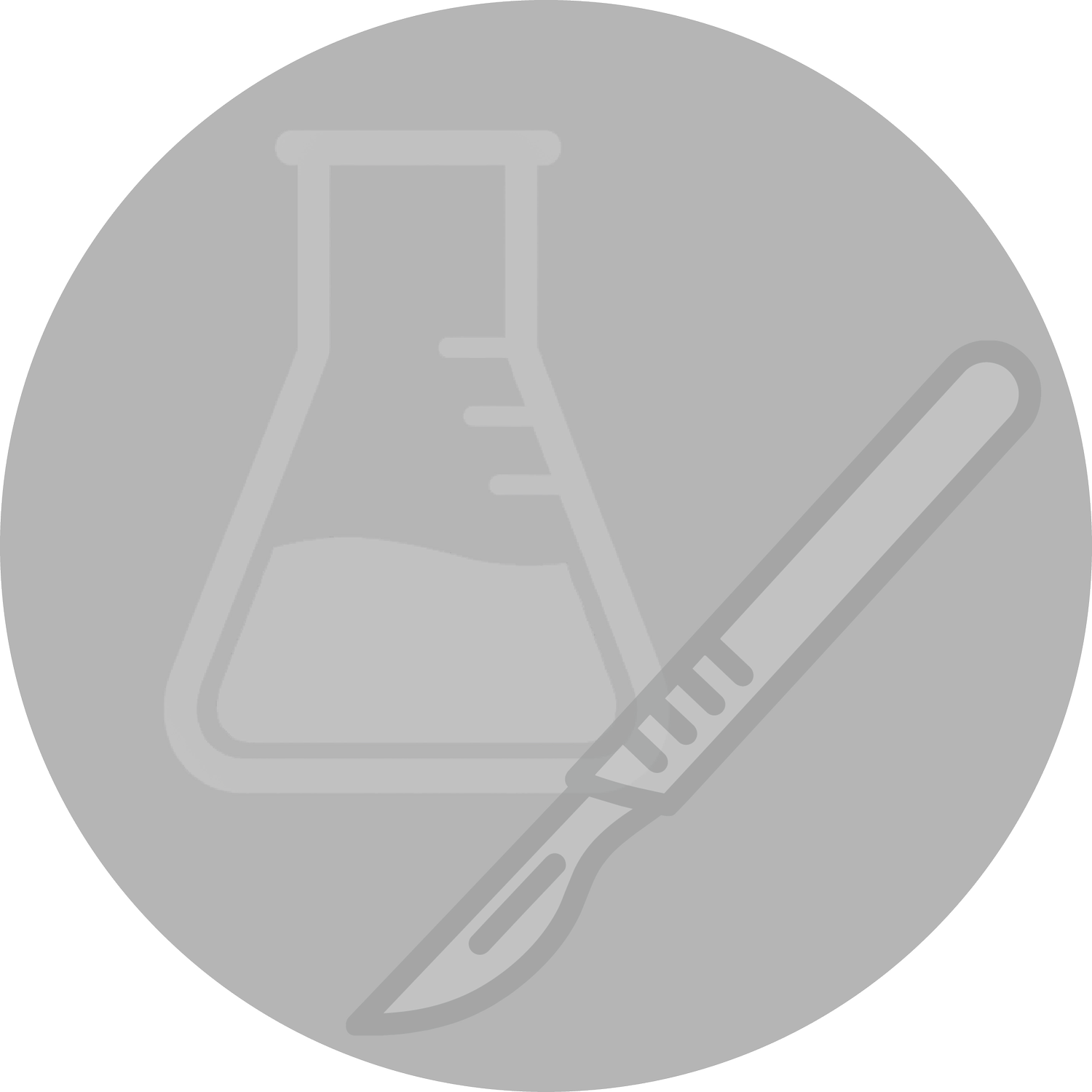 CONSULT LLC