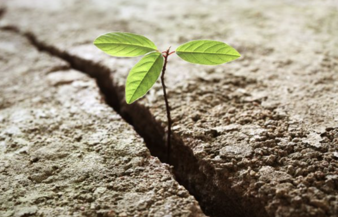 Principles Of Life Affirming Leadership