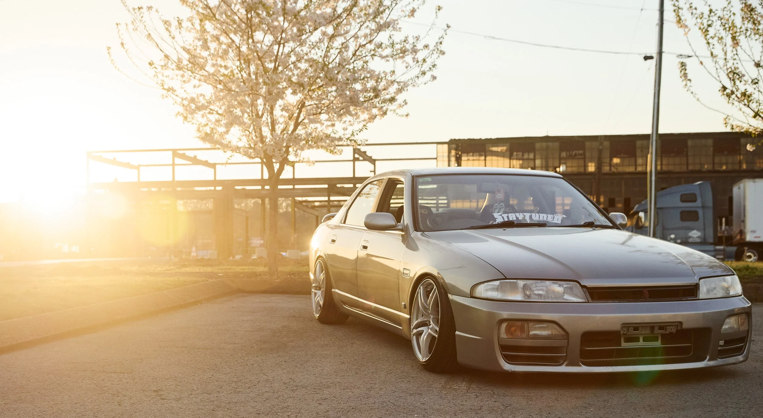 IMG_0165 bright 24.jpg