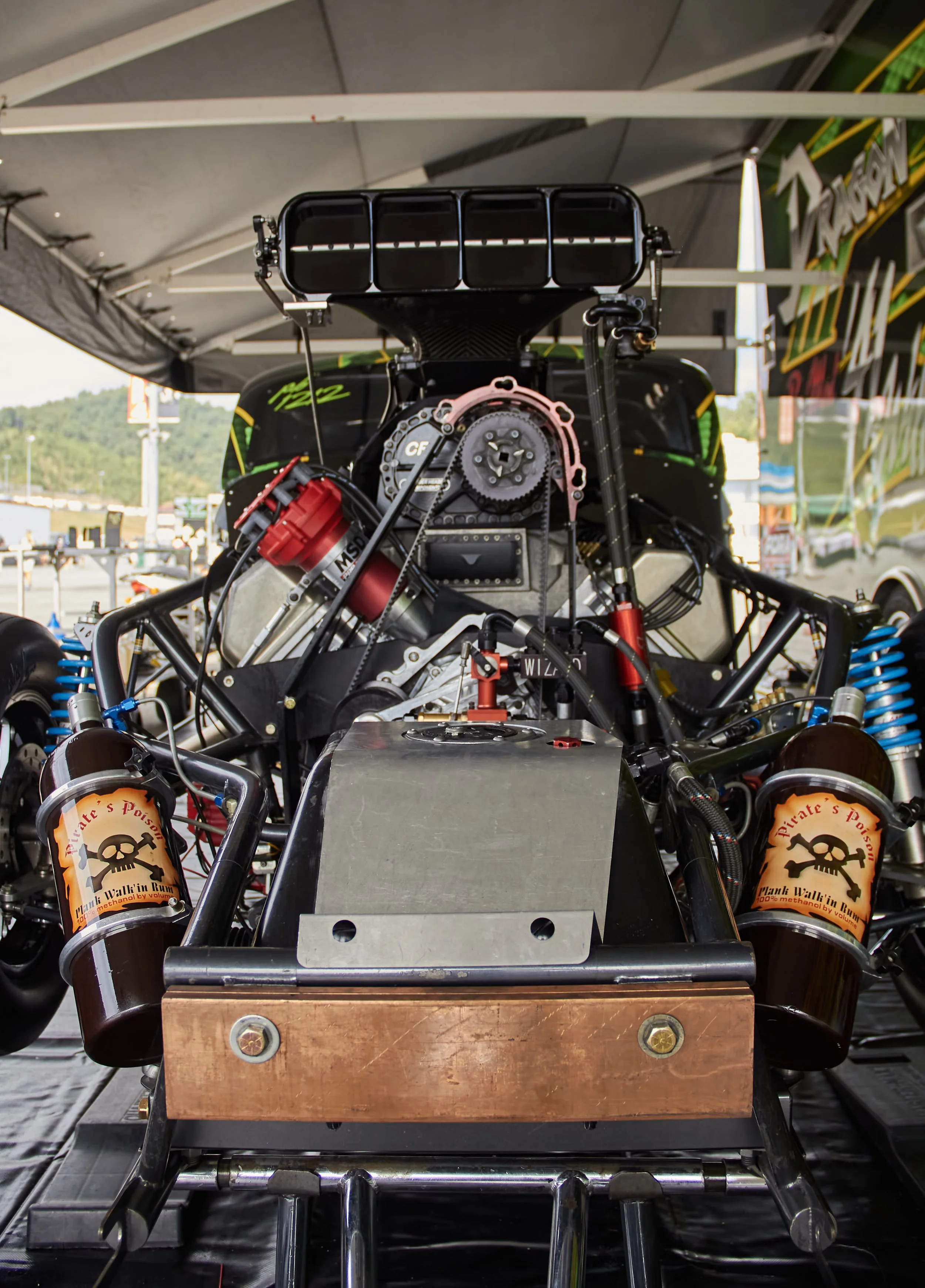 IMG_0165 bright 45.jpg