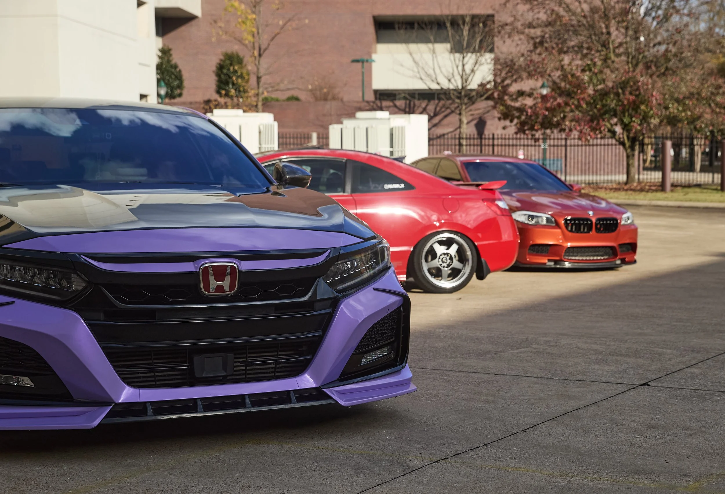 IMG_0165 bright 26.jpg