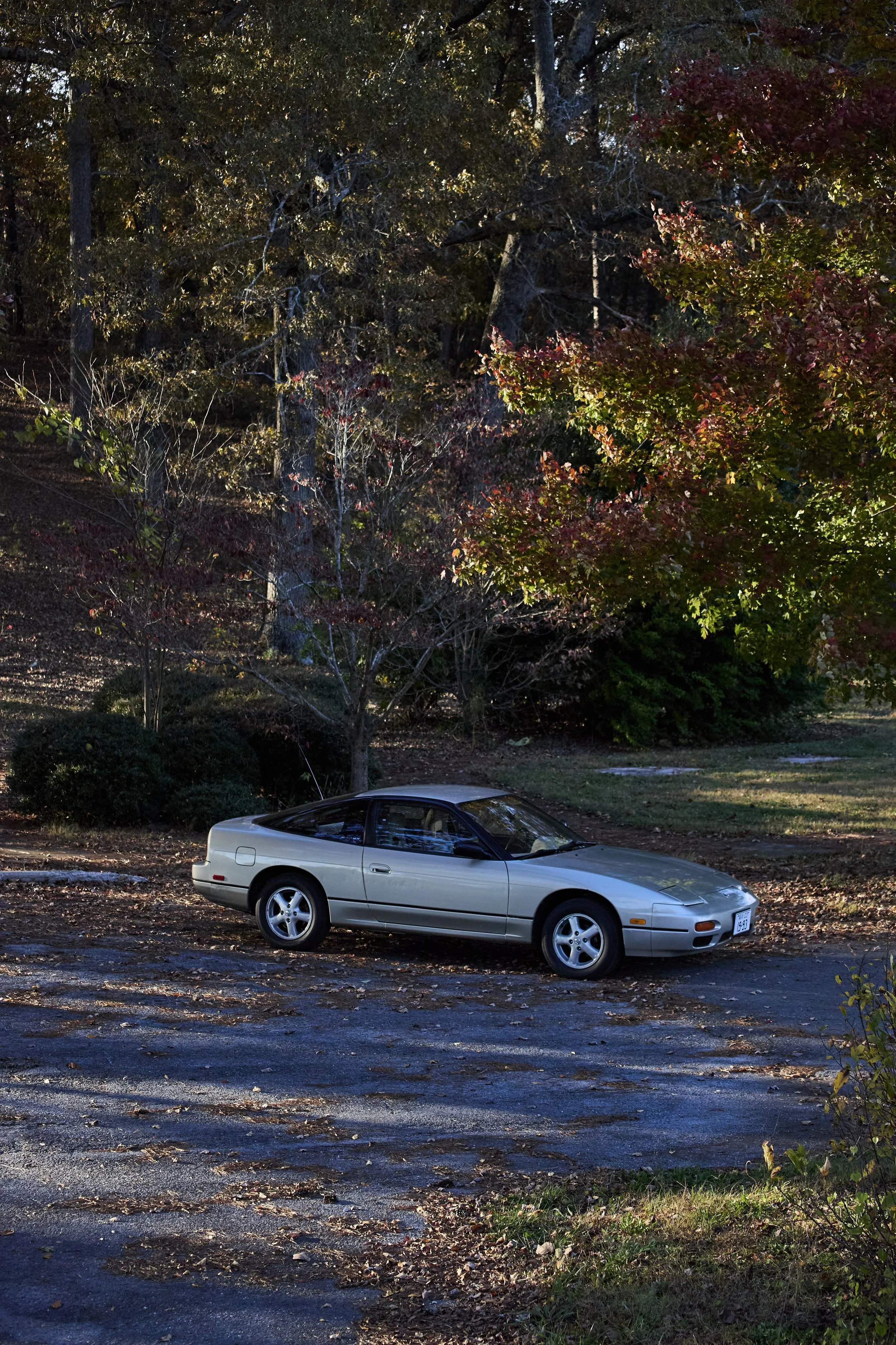 IMG_0165 bright 10.jpg