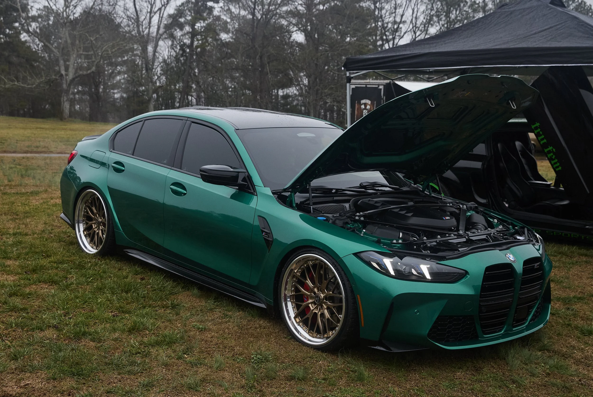 IMG_0165 bright 132.jpg