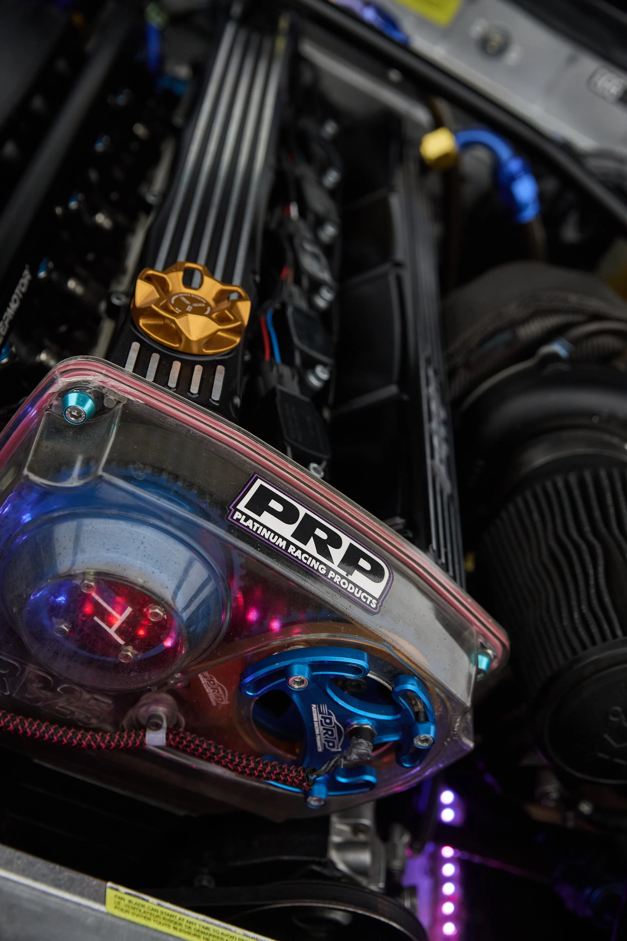 IMG_0165 bright 7.jpg