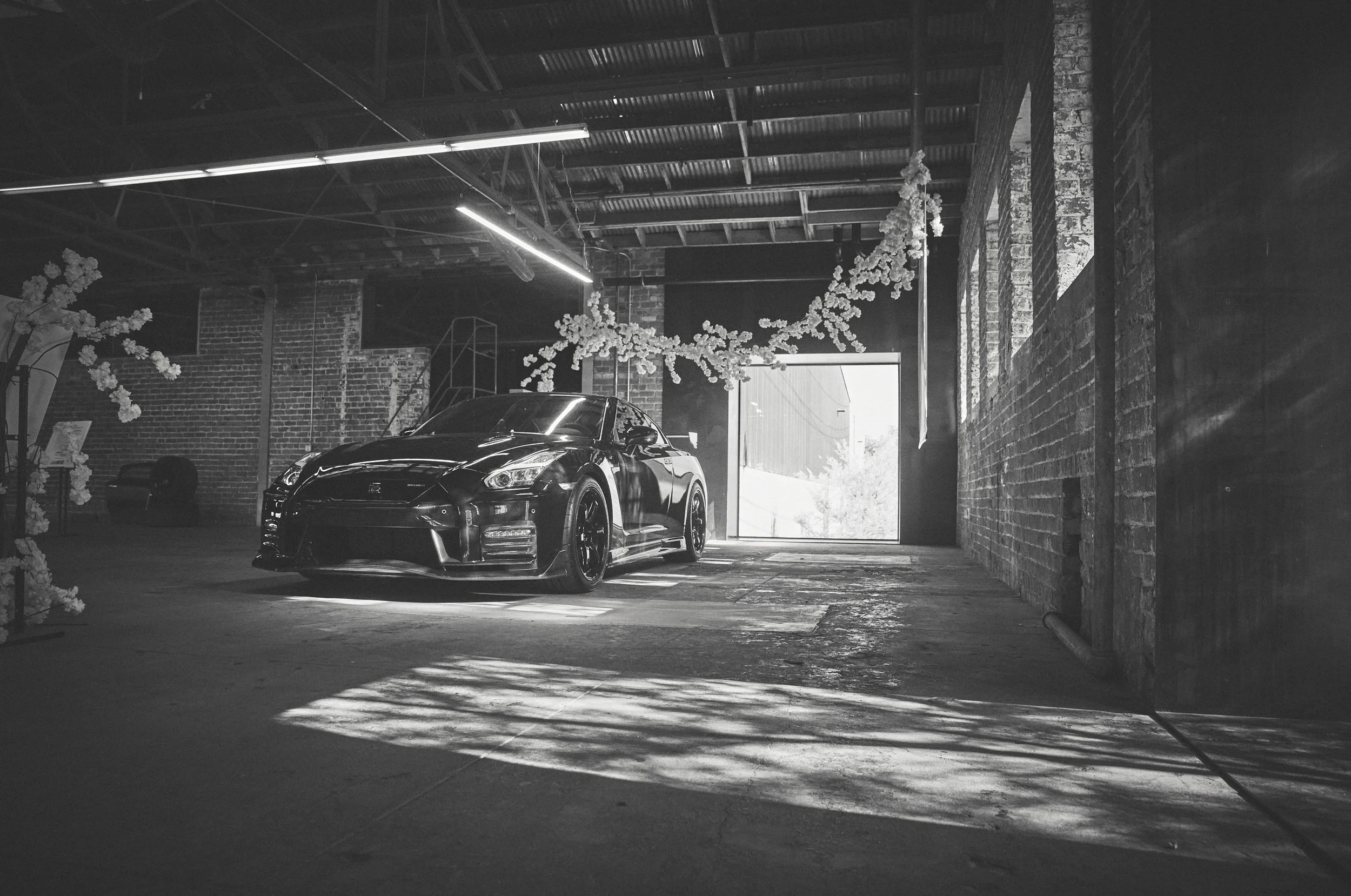 IMG_0165 bright 46.jpg