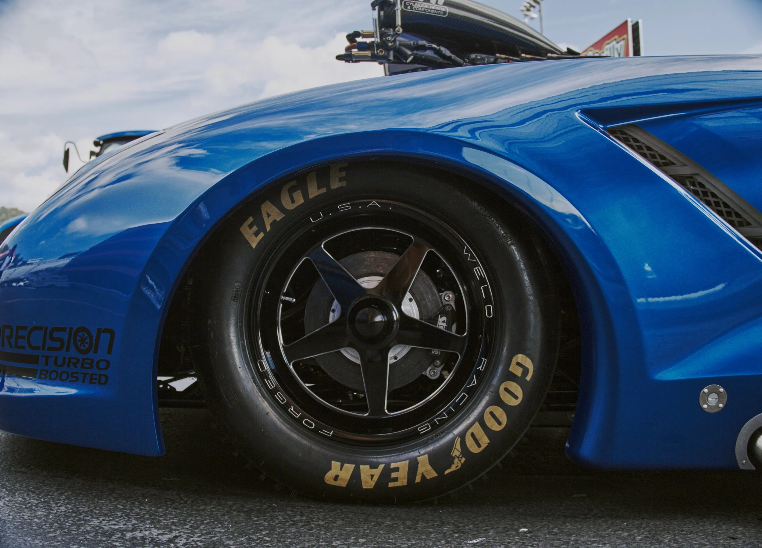 IMG_0165 bright 38.jpg