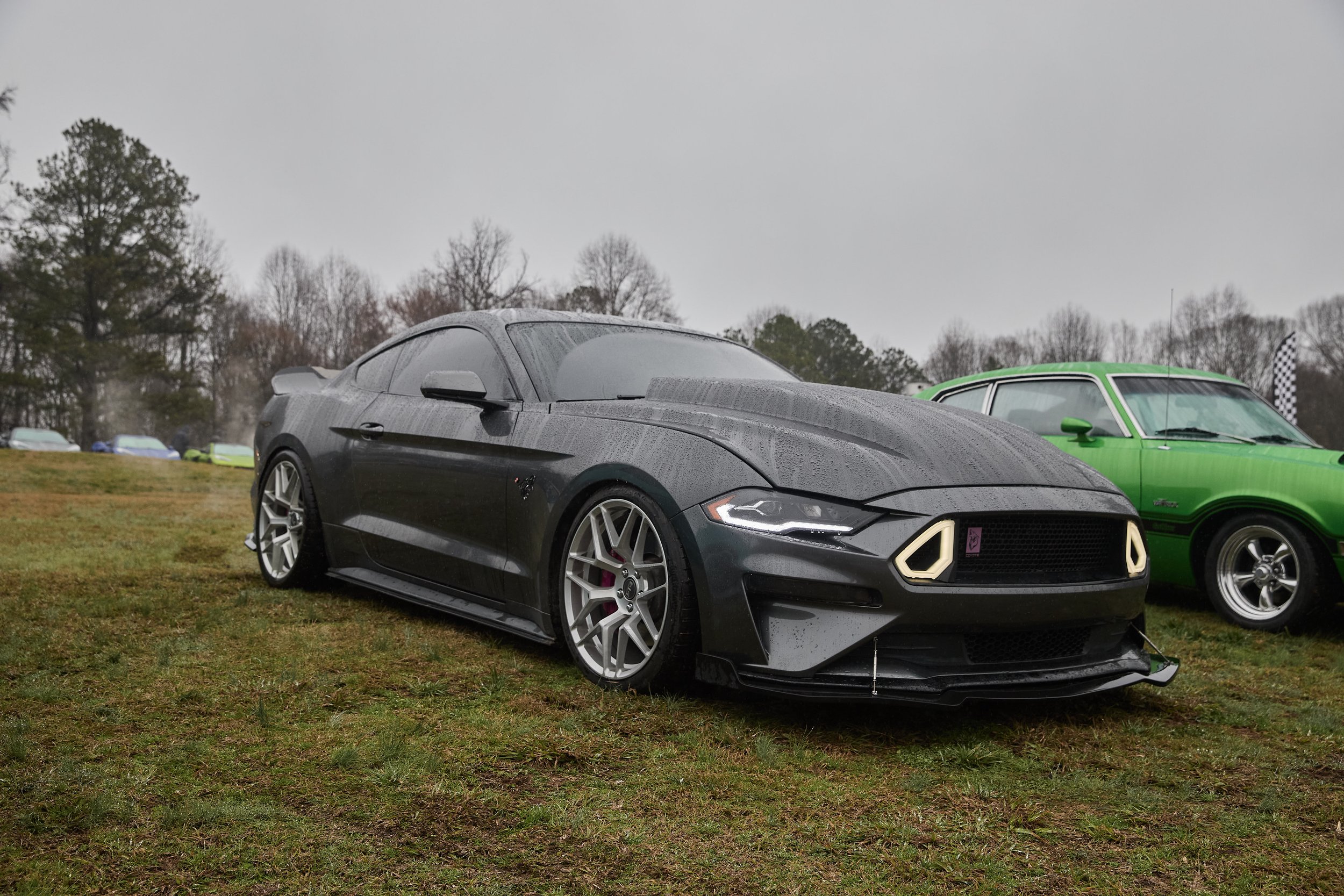 IMG_0165 bright 37.jpg