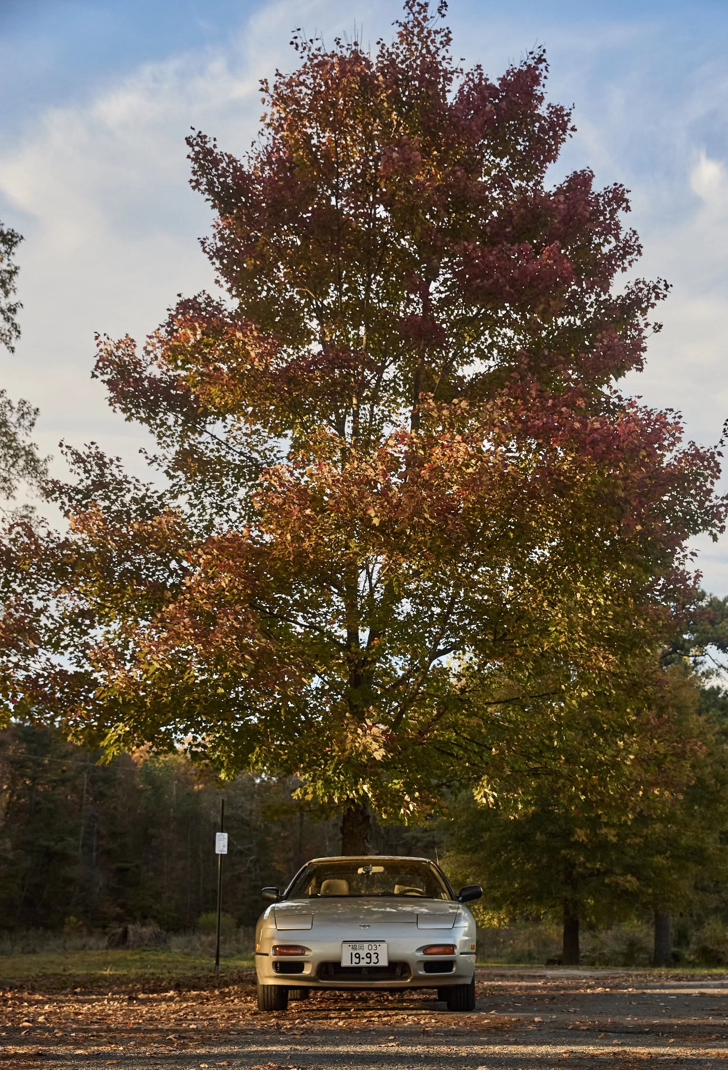 IMG_0165 bright 49.jpg