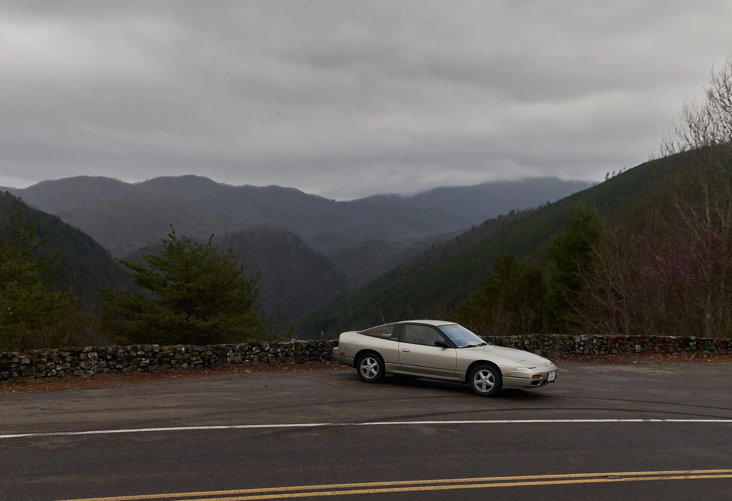 IMG_0165 bright 9.jpg