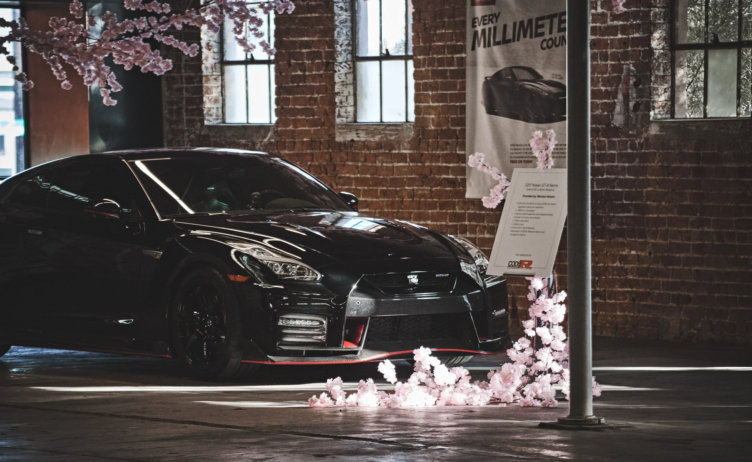 IMG_0165 bright 199.jpg