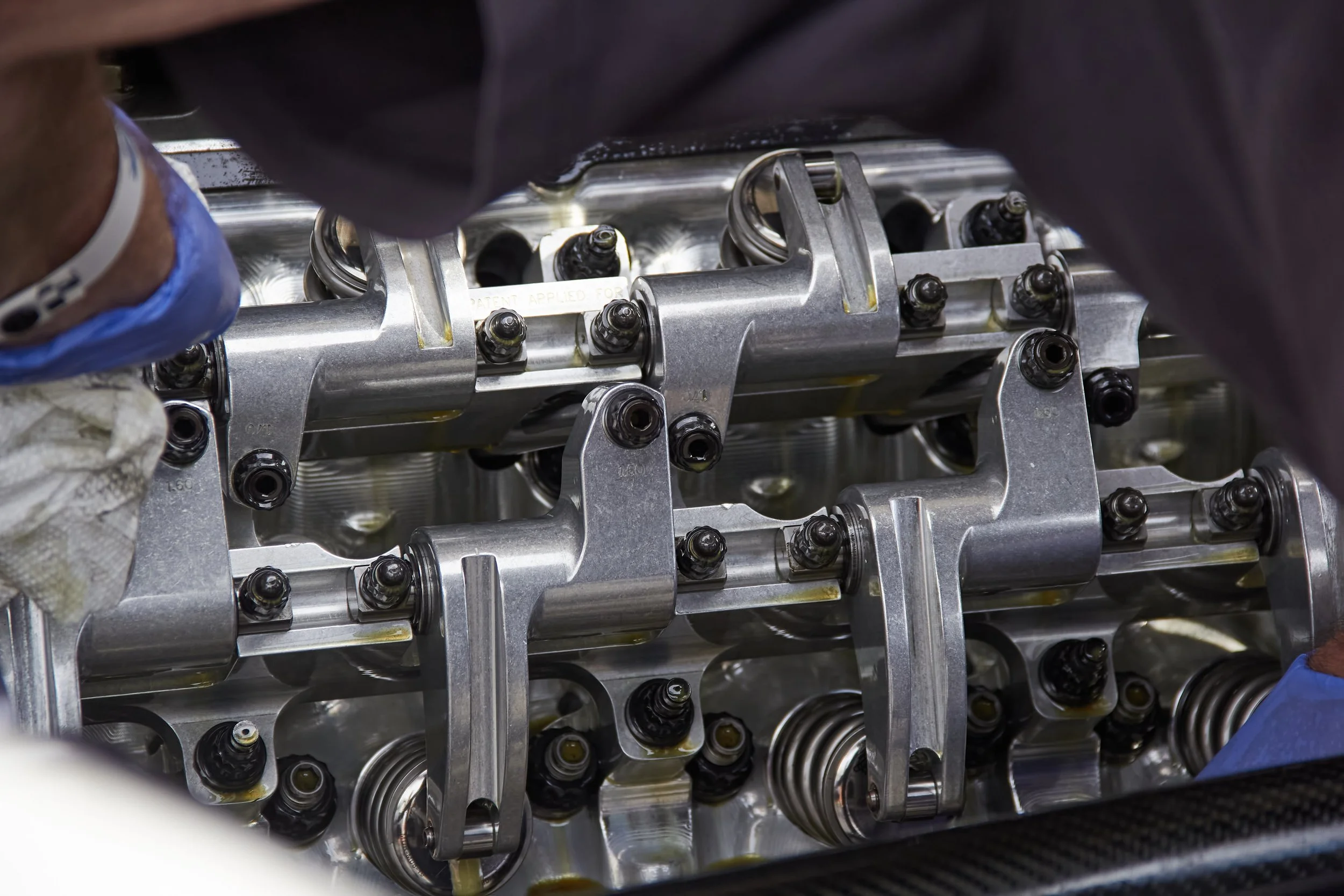 IMG_0165 bright 49.jpg