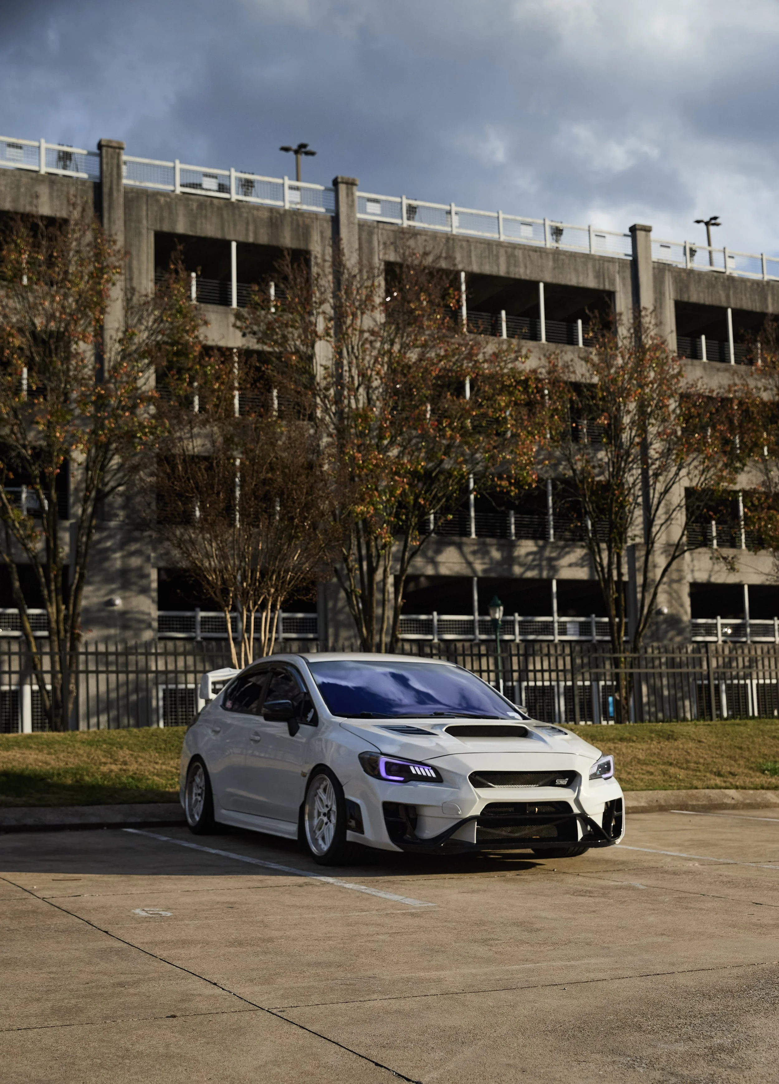 IMG_0165 bright 41.jpg