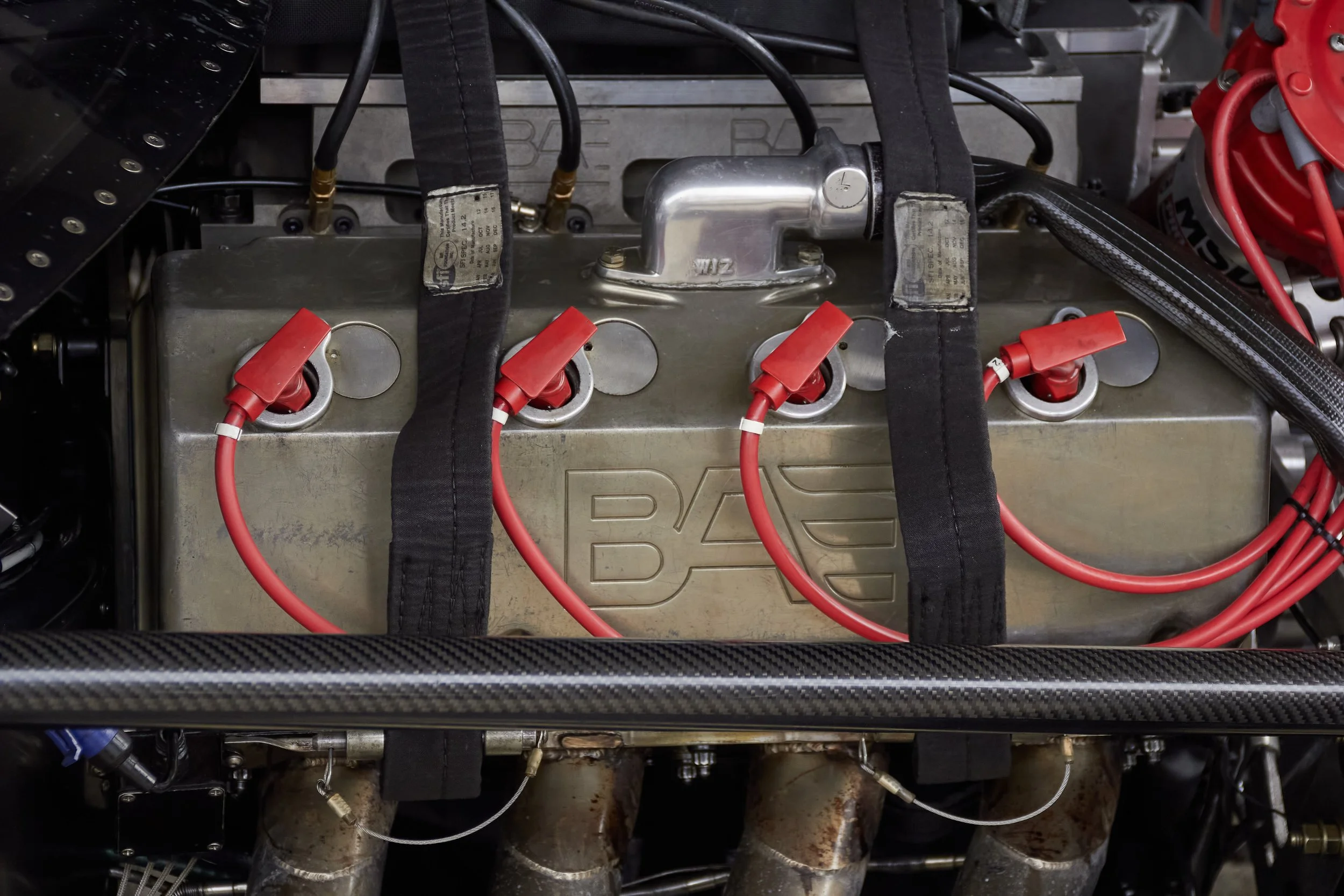 IMG_0165 bright 50.jpg