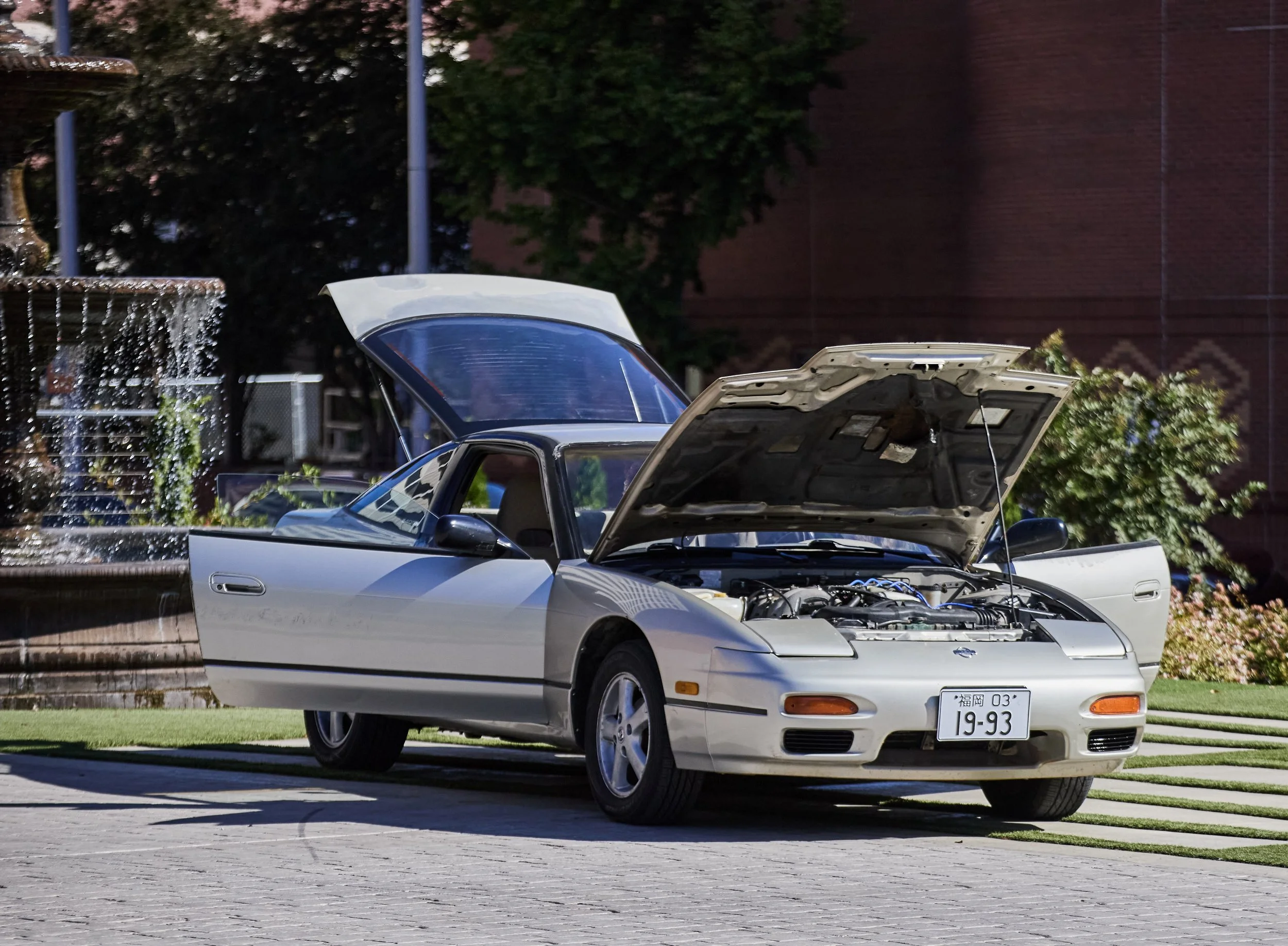 IMG_0165 bright 12.jpg