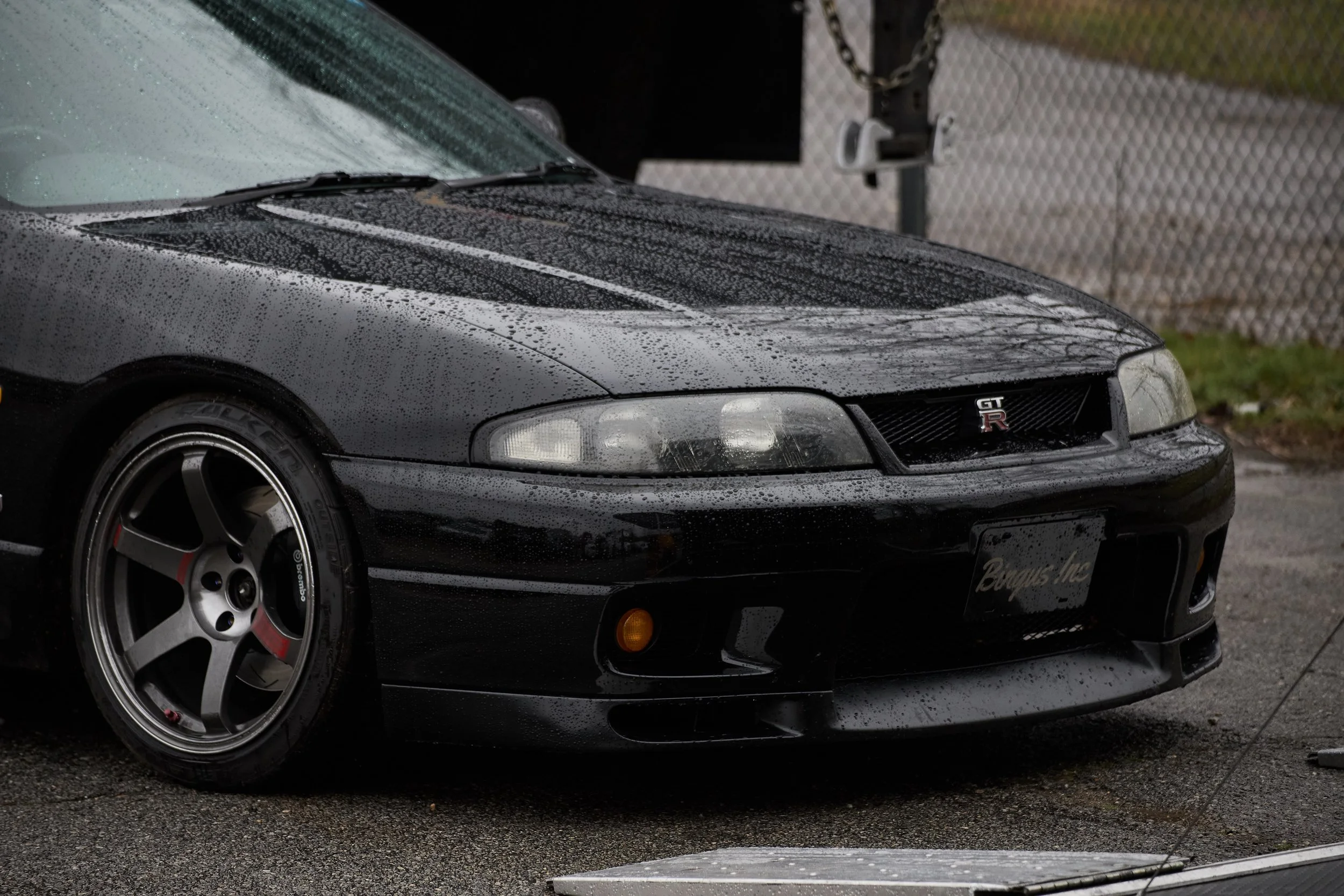 IMG_0165 bright 130.jpg