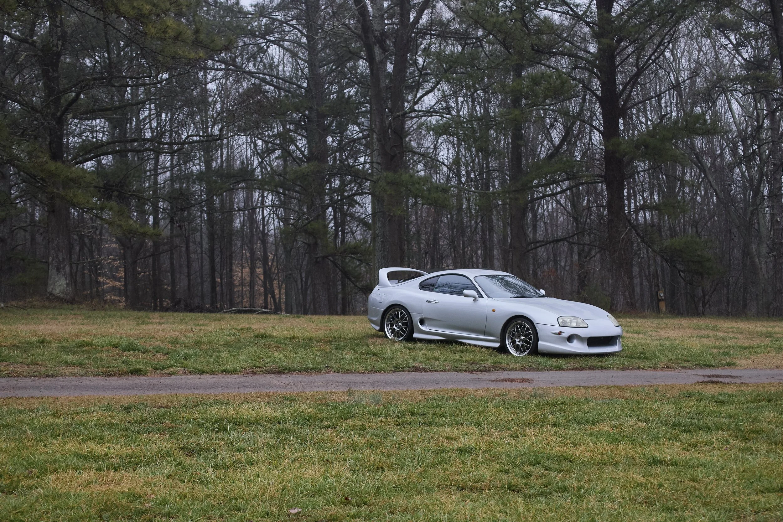 IMG_0165 bright 174.jpg