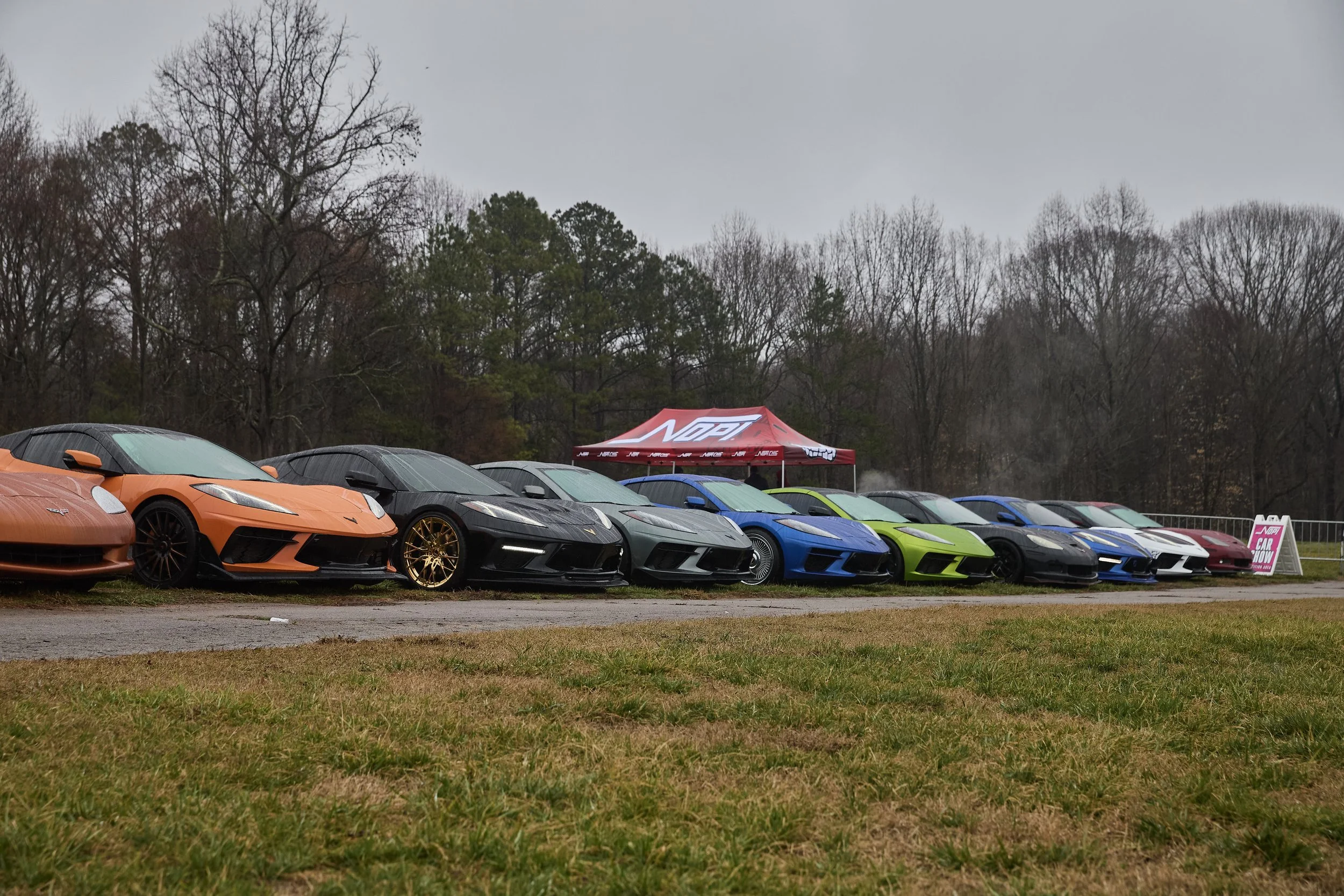 IMG_0165 bright 41.jpg