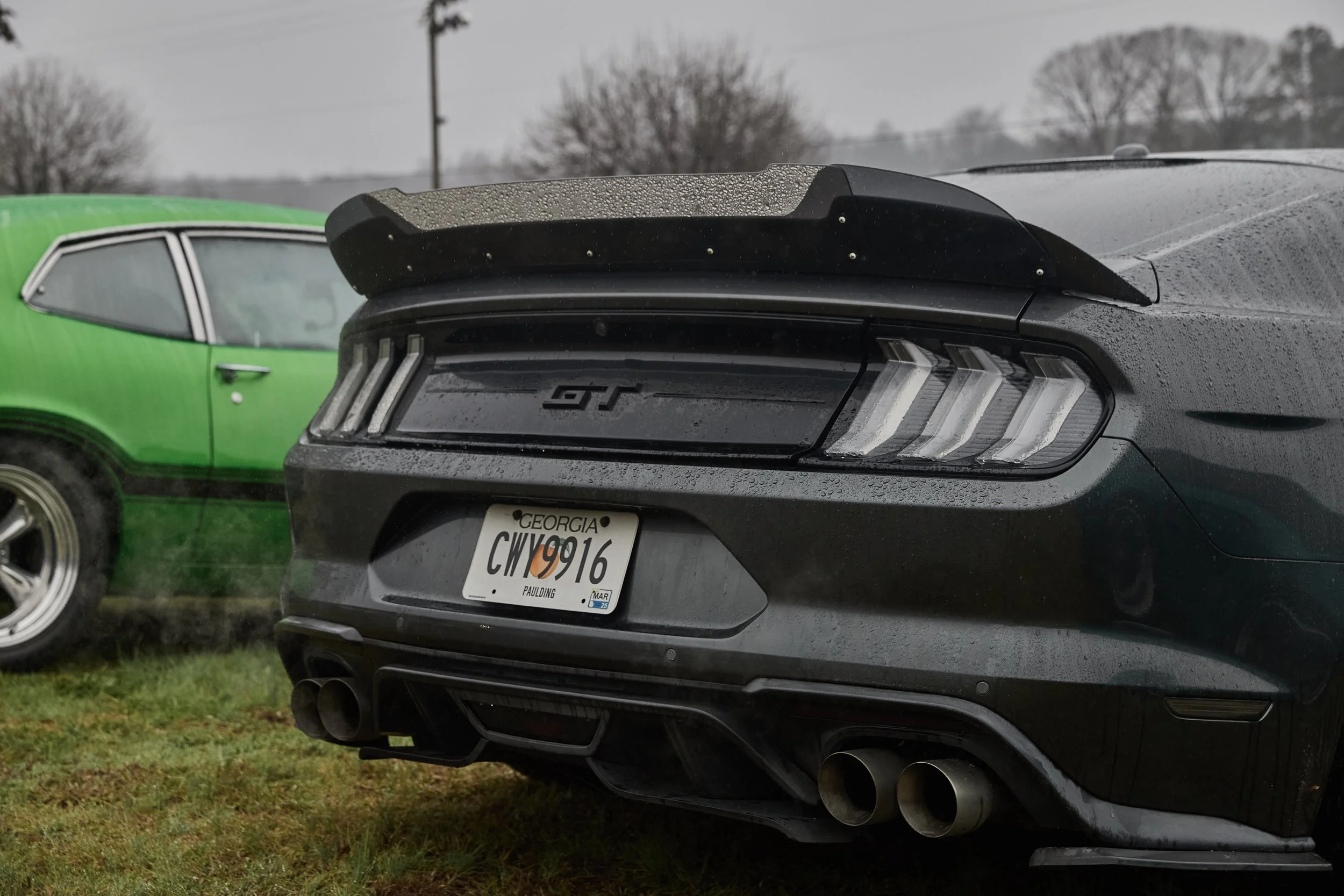 IMG_0165 bright 33.jpg