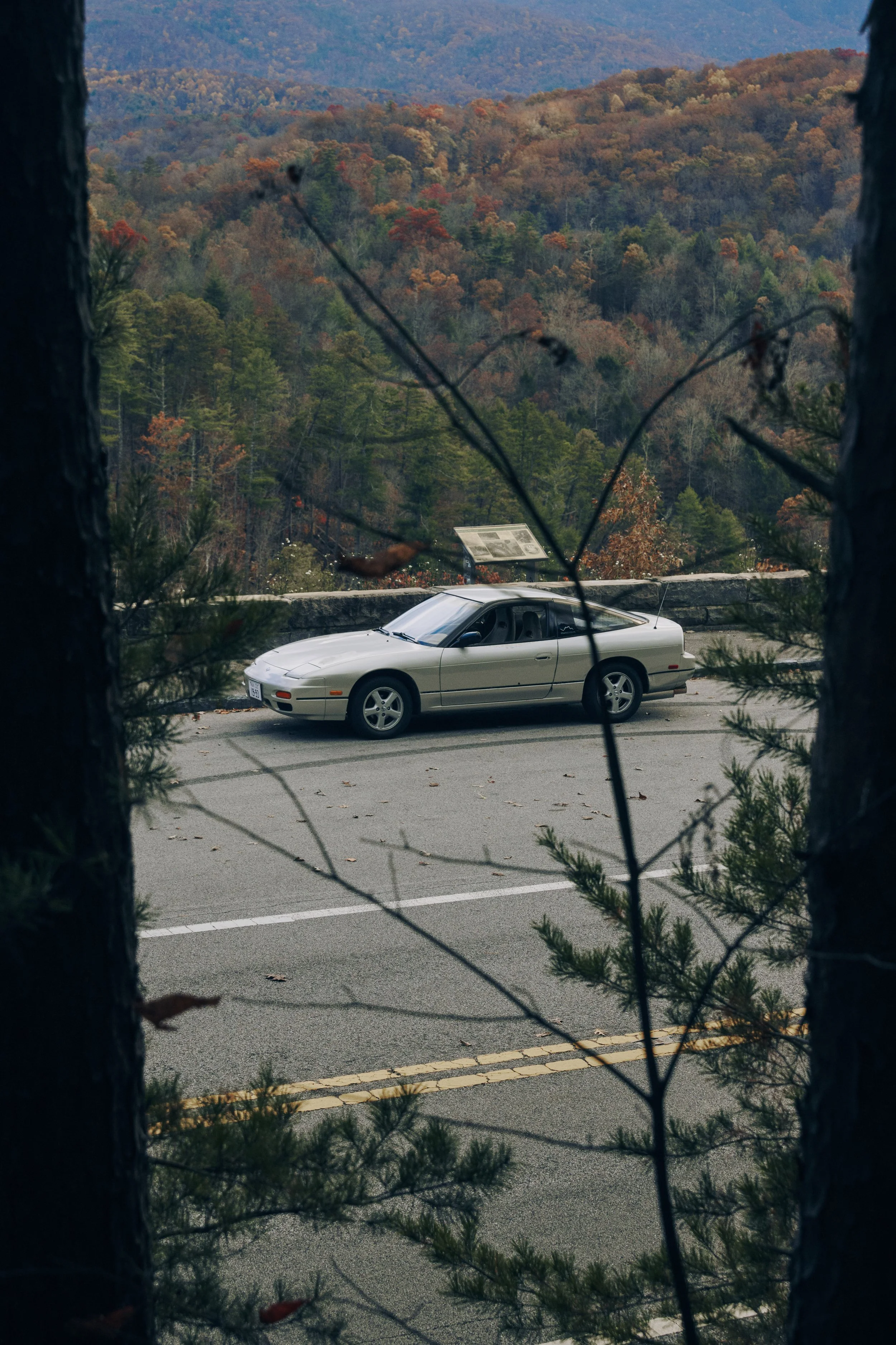 IMG_0165 bright 69.jpg