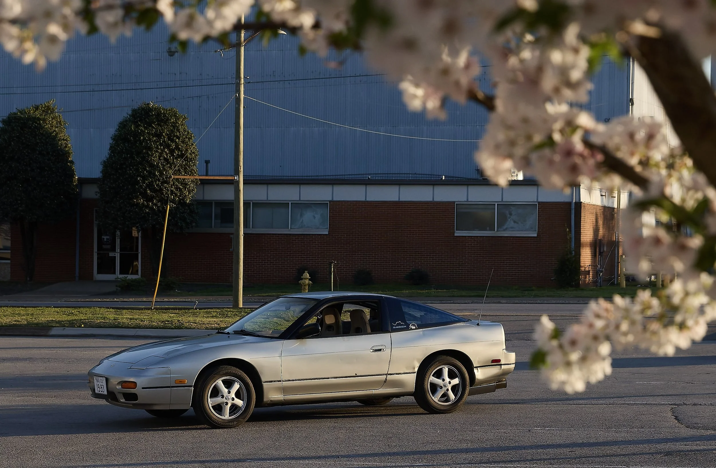 IMG_0165 bright 61.jpg