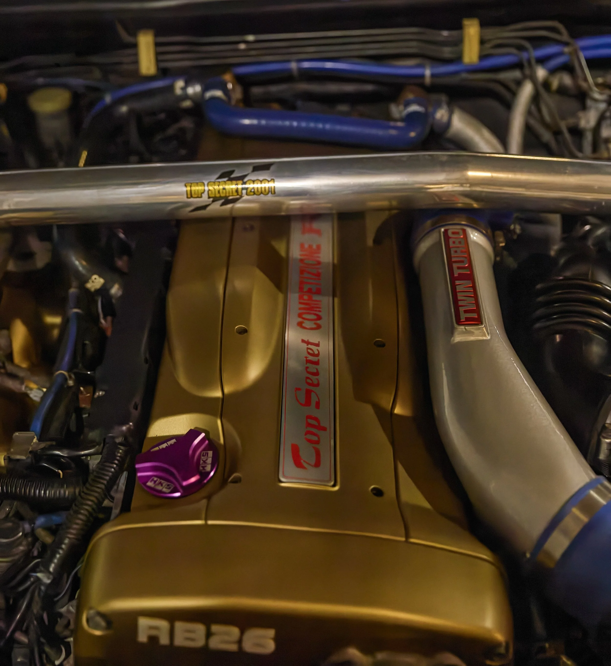 IMG_0165 bright 238.jpg