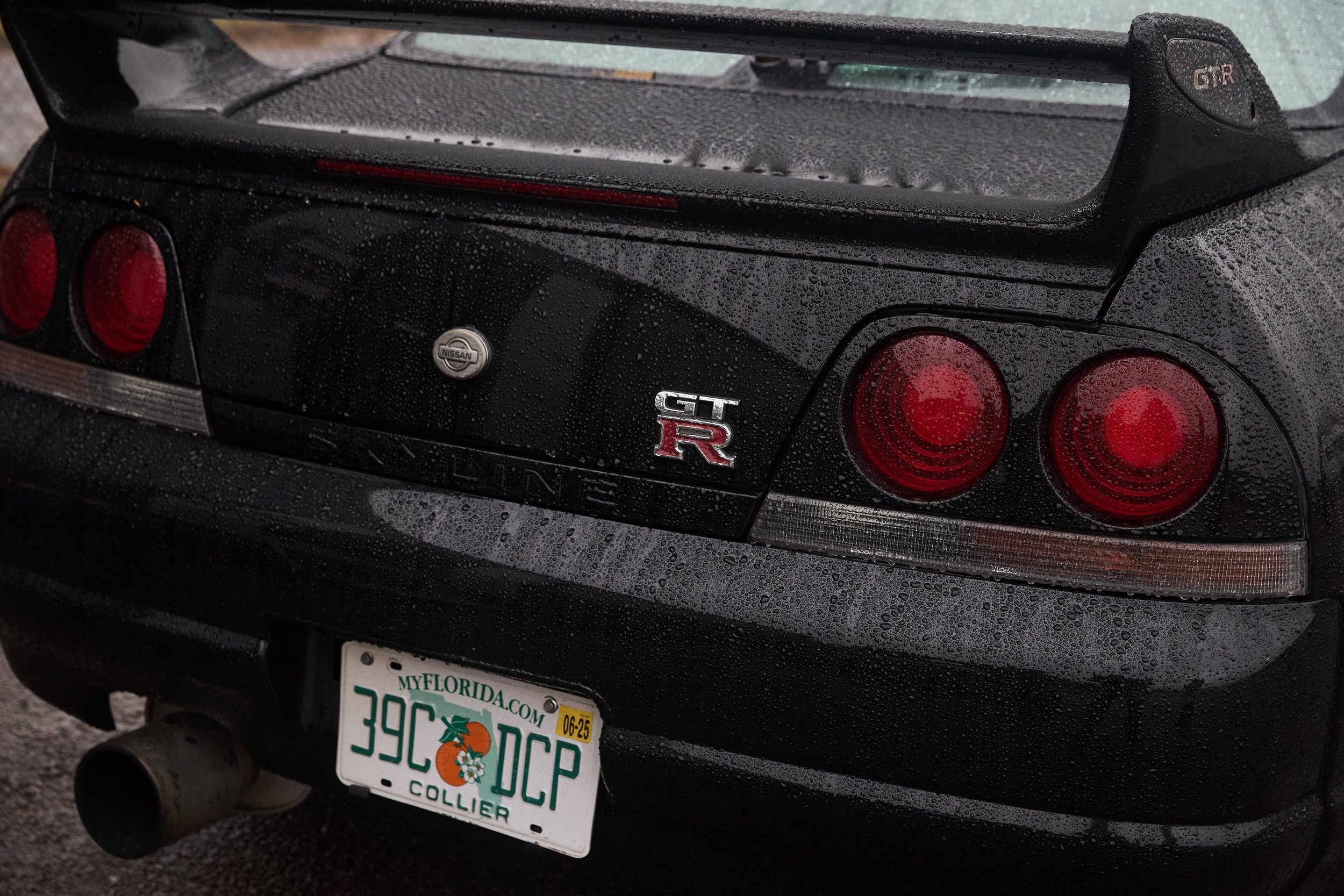 IMG_0165 bright 62.jpg