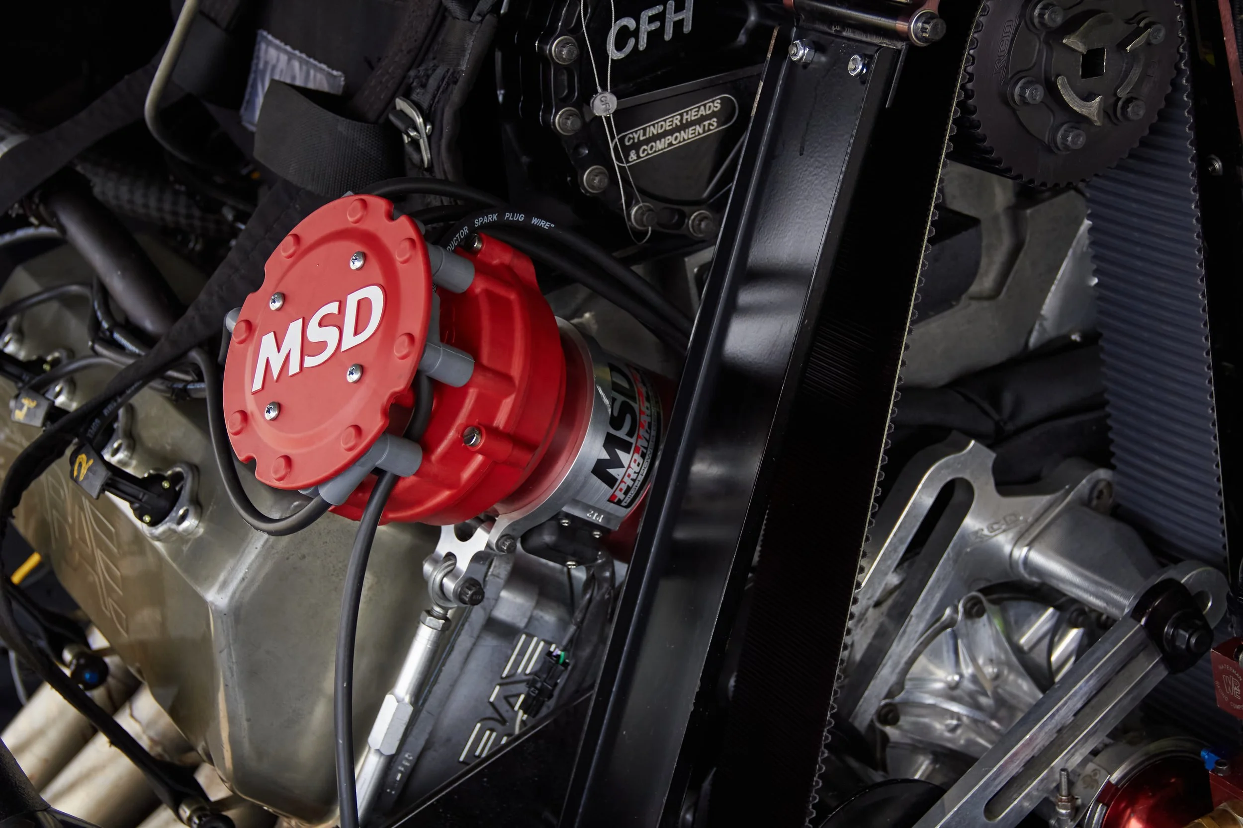 IMG_0165 bright 46.jpg