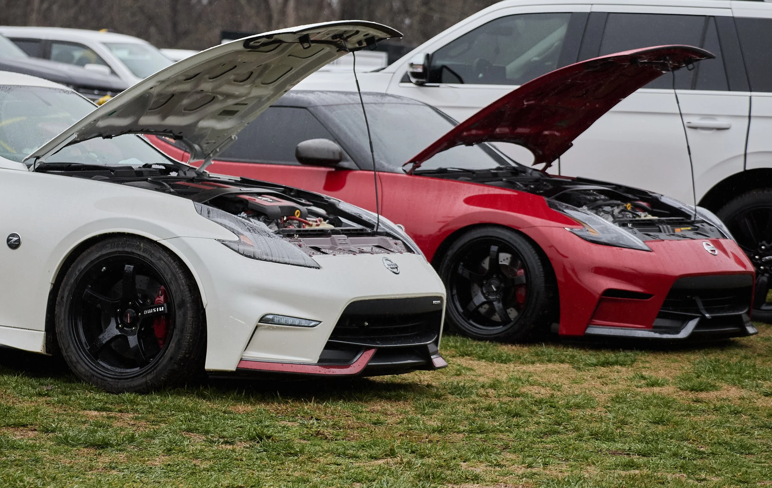 IMG_0165 bright 67.jpg