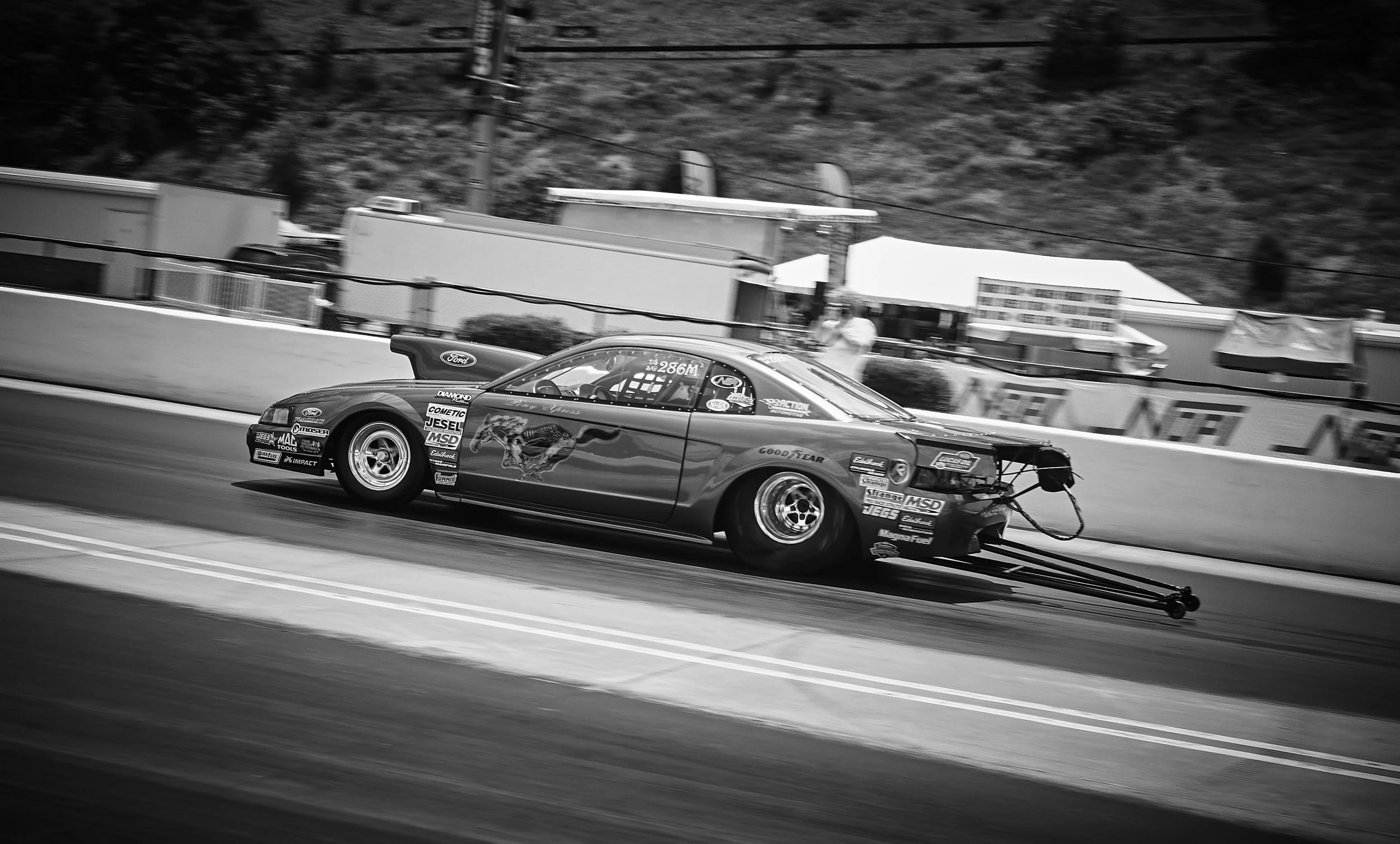 IMG_0165 bright 45.jpg