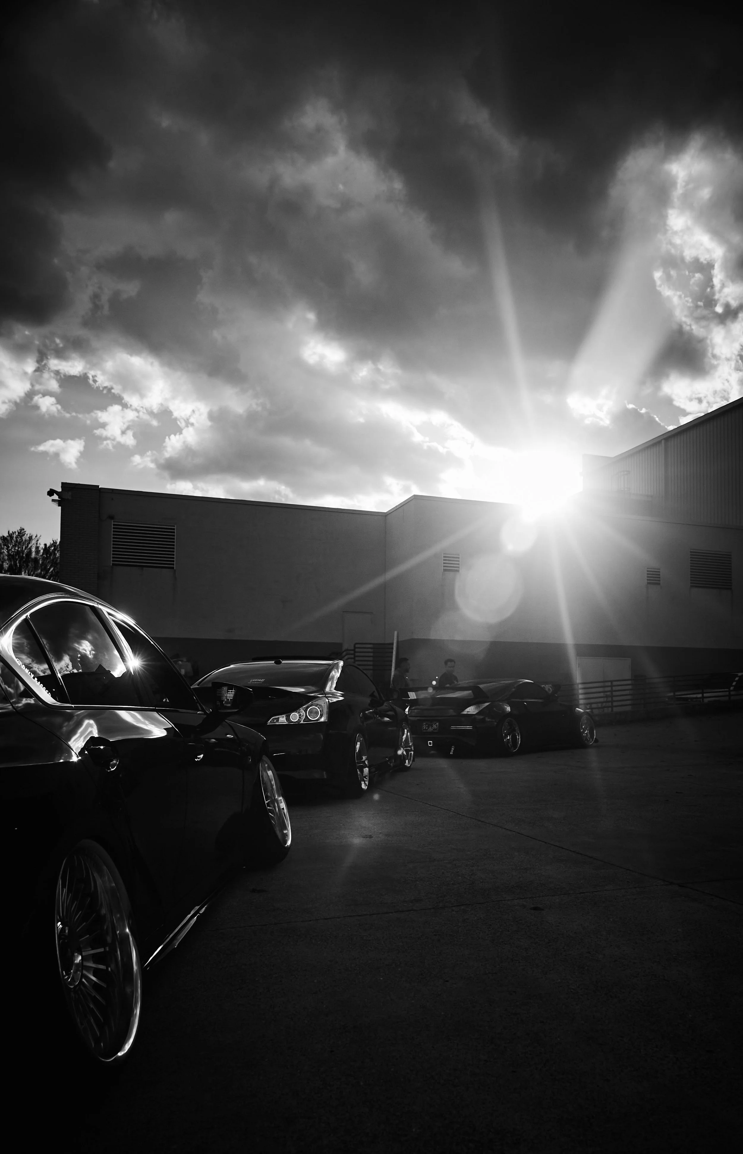 IMG_0165 bright 49.jpg