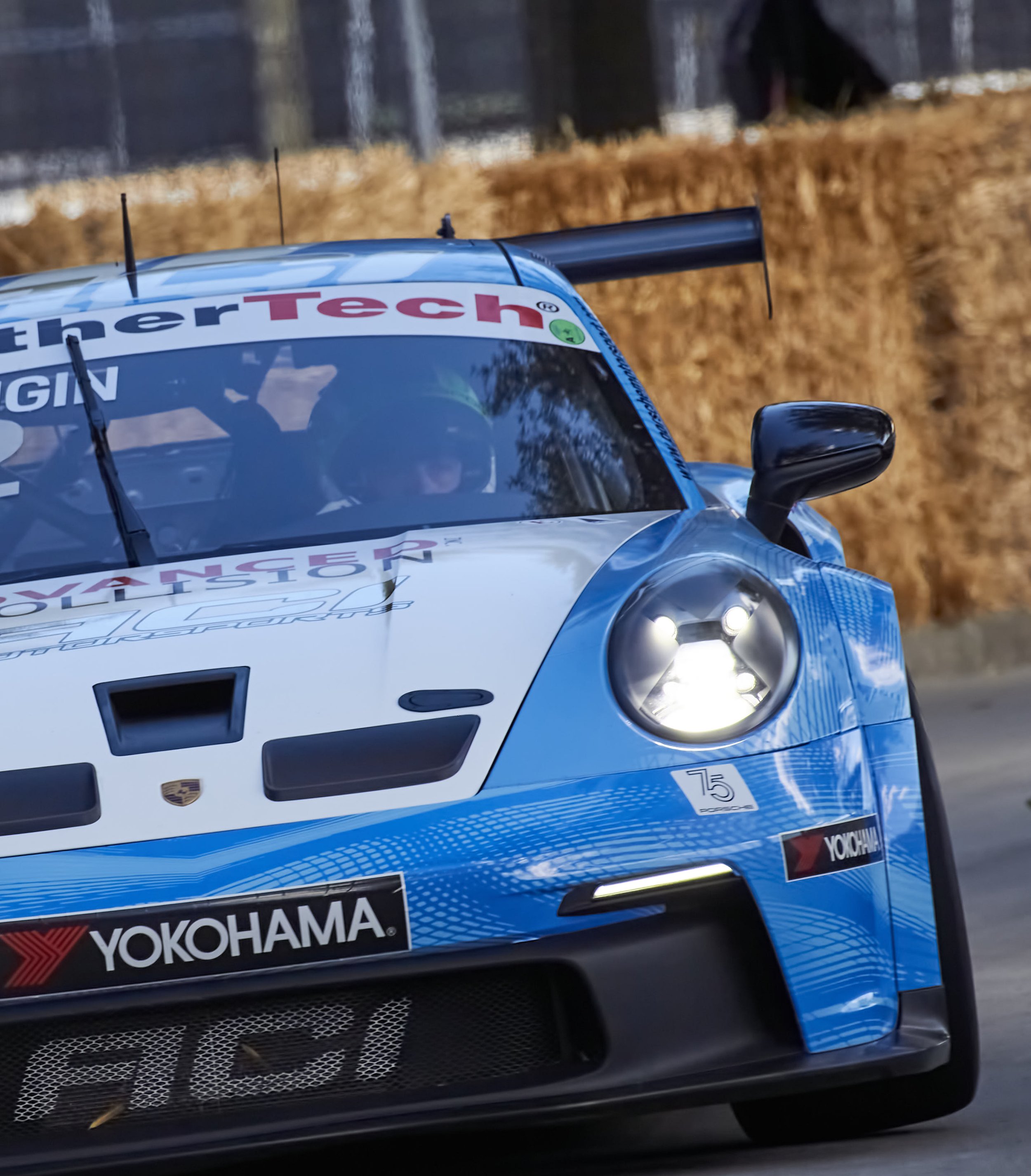 IMG_0165 bright 3.jpg