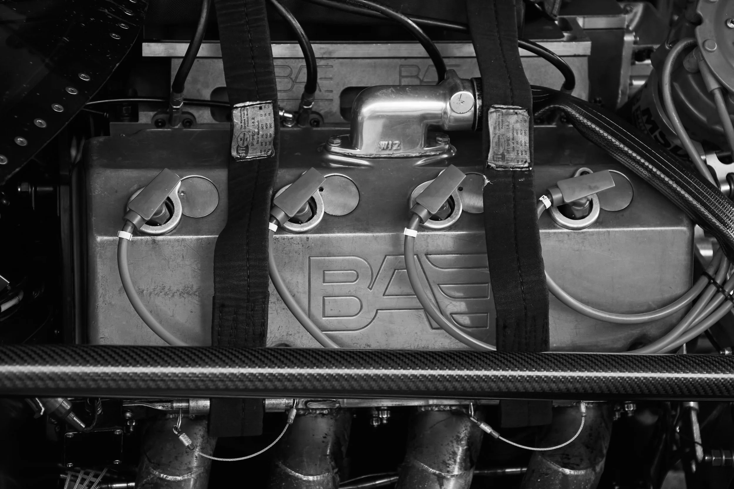 IMG_0165 bright 51.jpg