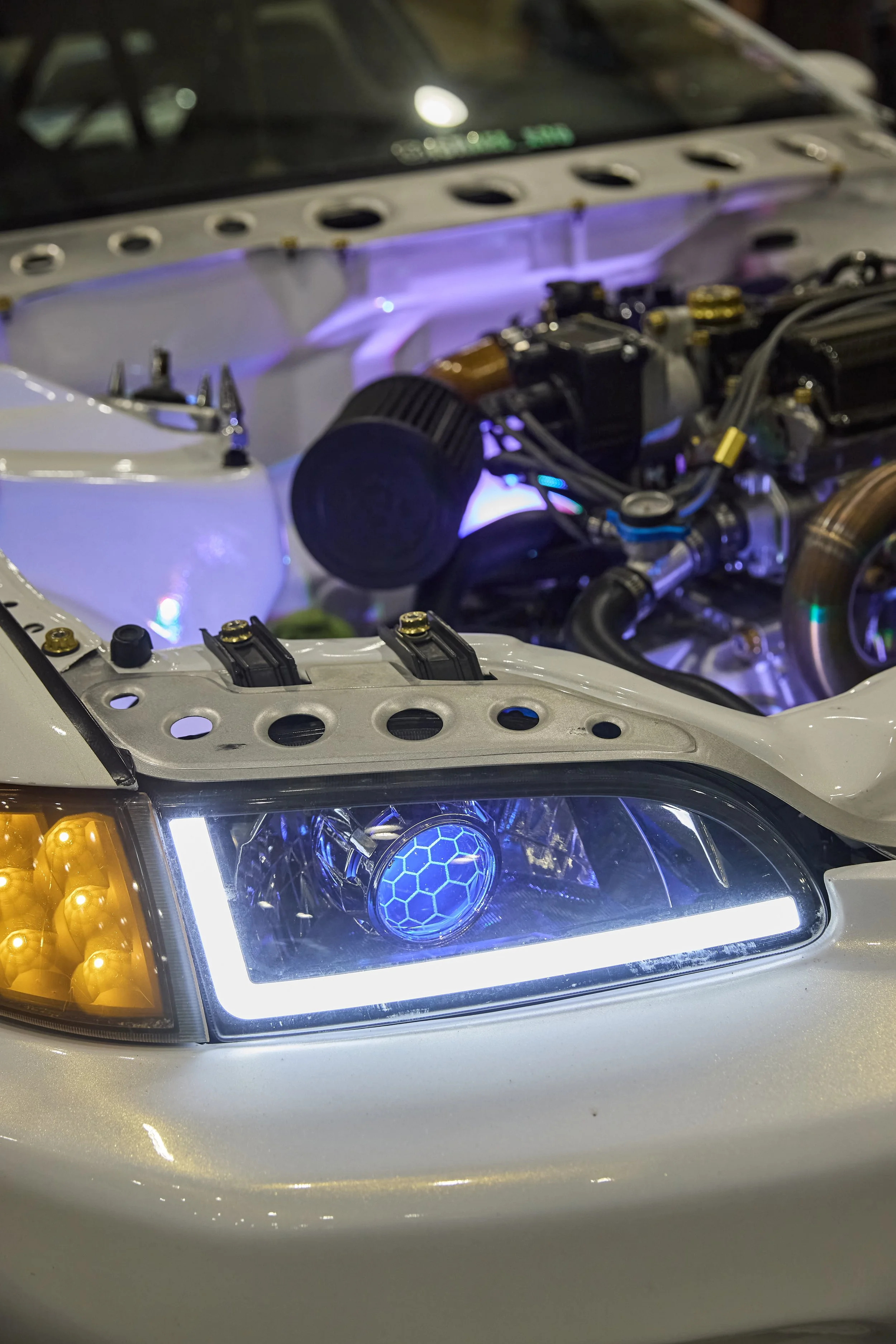 IMG_0165 bright 64.jpg