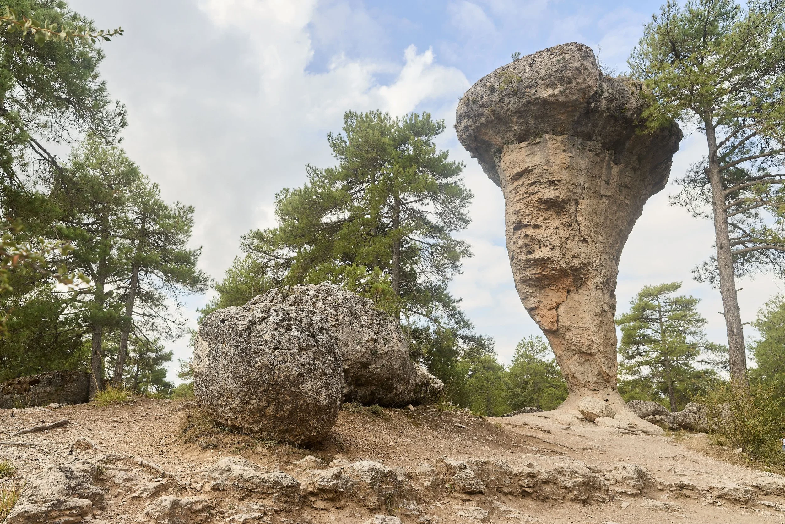Spain, the enchanted forest