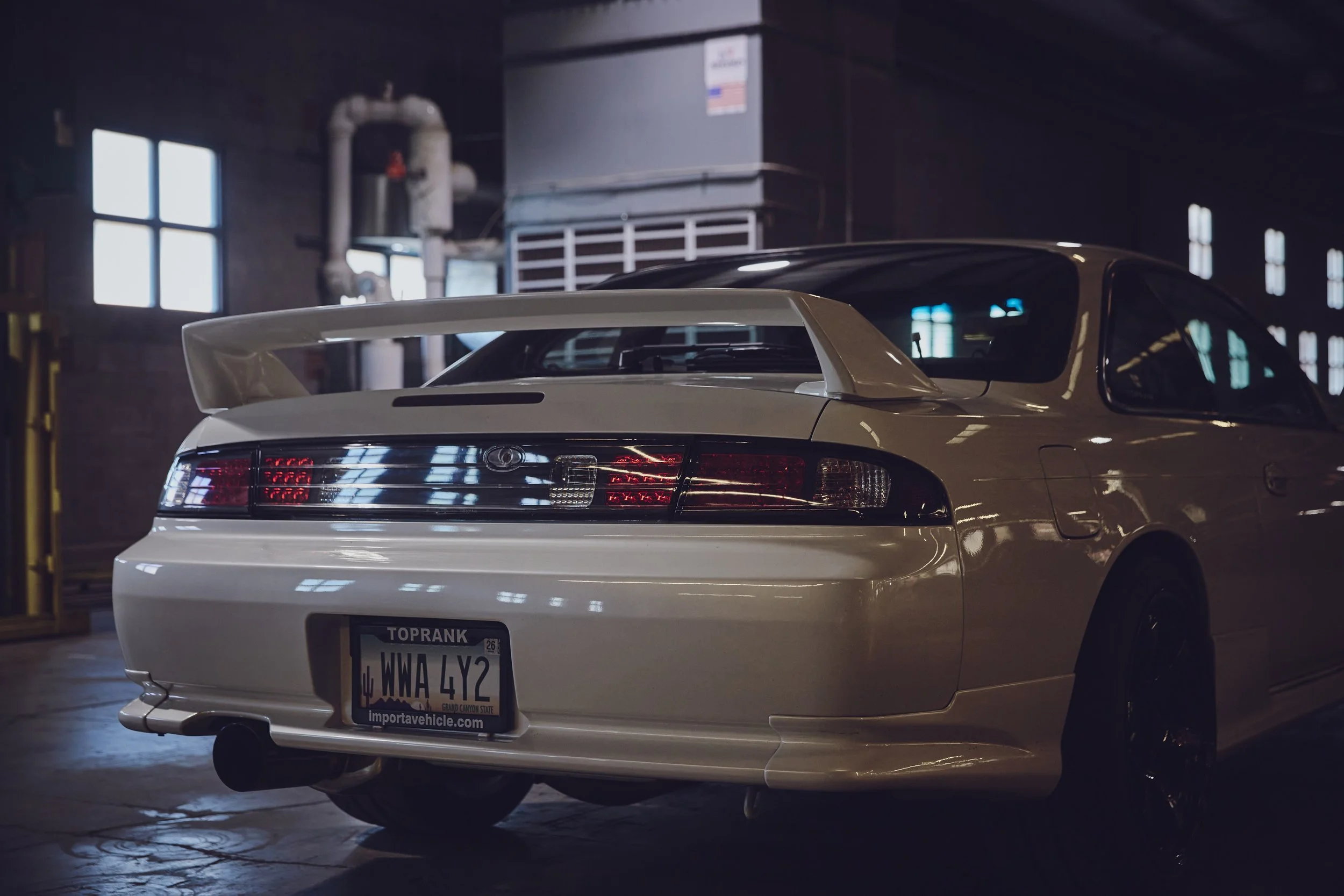 IMG_0165 bright 181.jpg