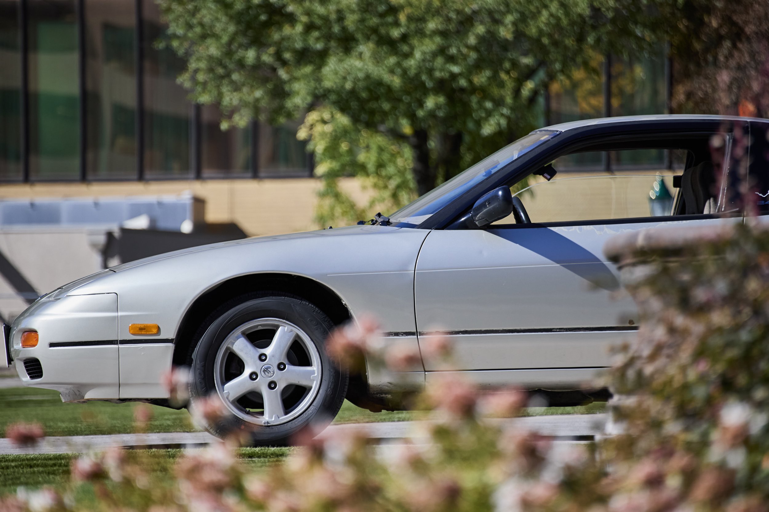 IMG_0165 bright 3.jpg