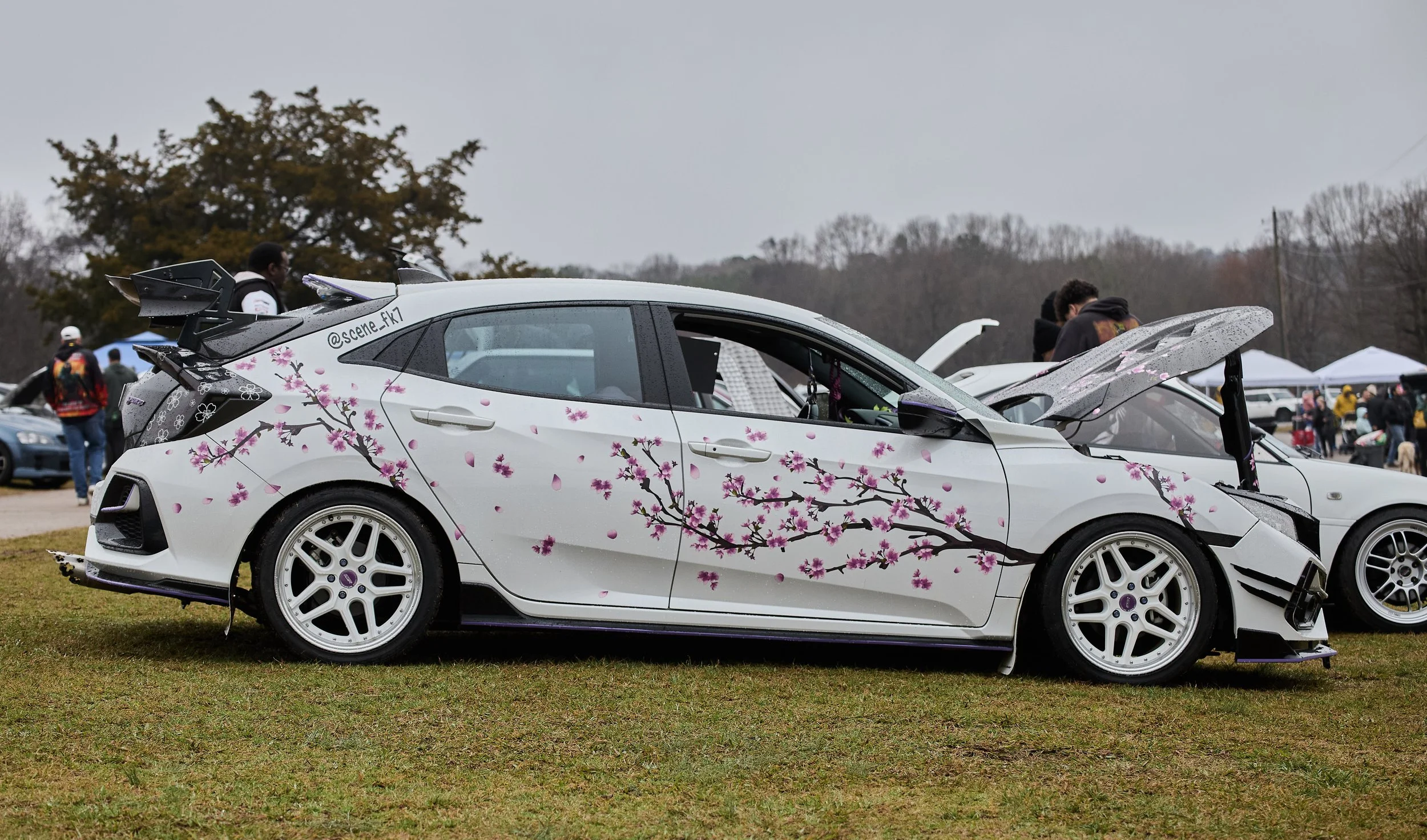 IMG_0165 bright 123.jpg