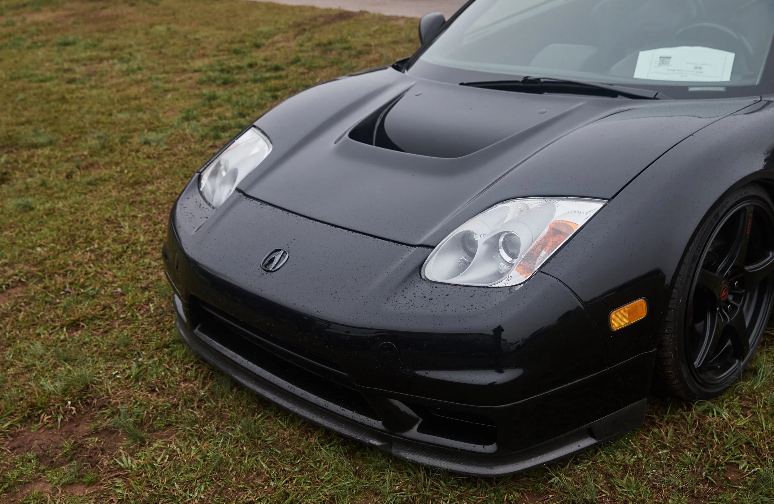 IMG_0165 bright 129.jpg