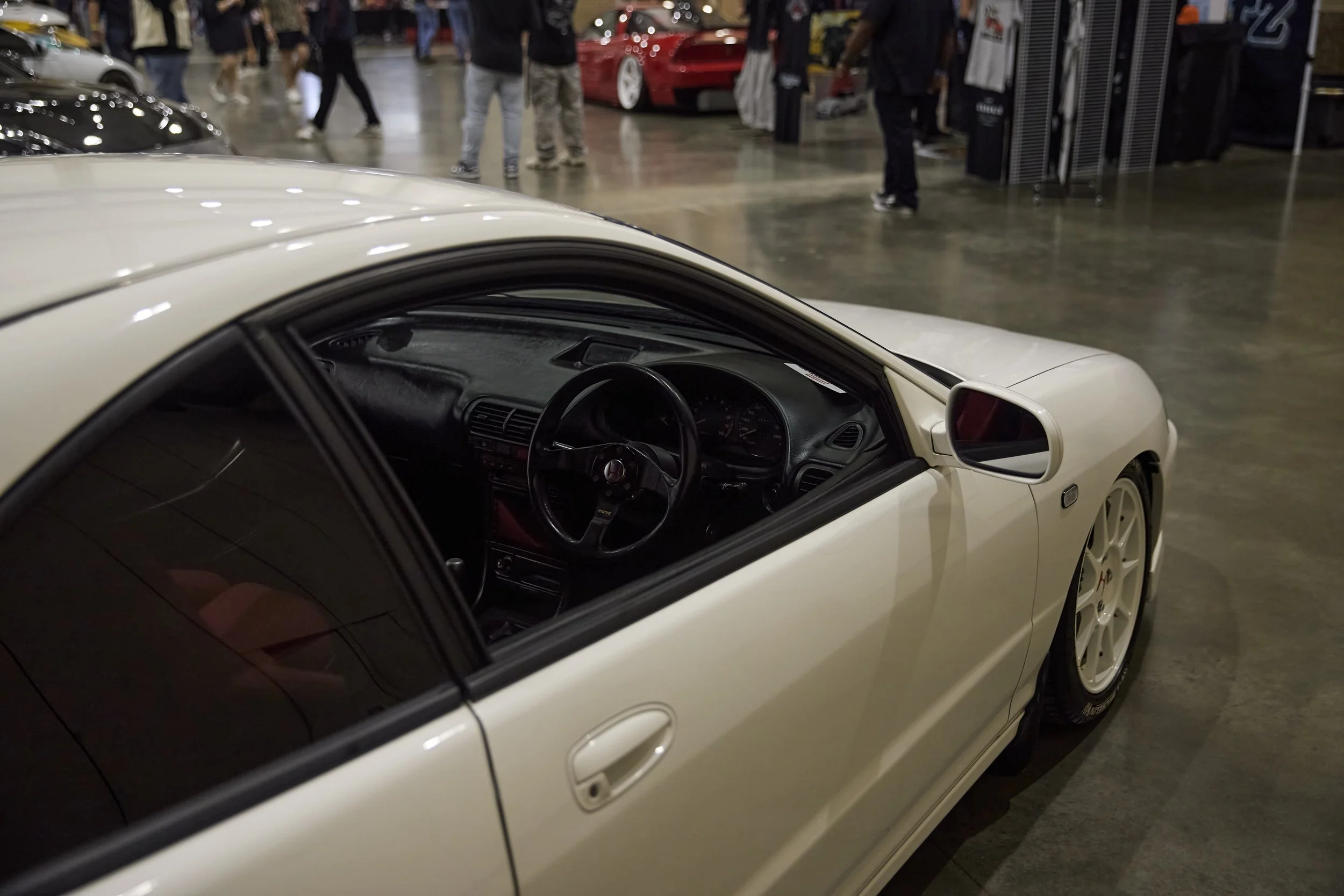 IMG_0165 bright 60.jpg