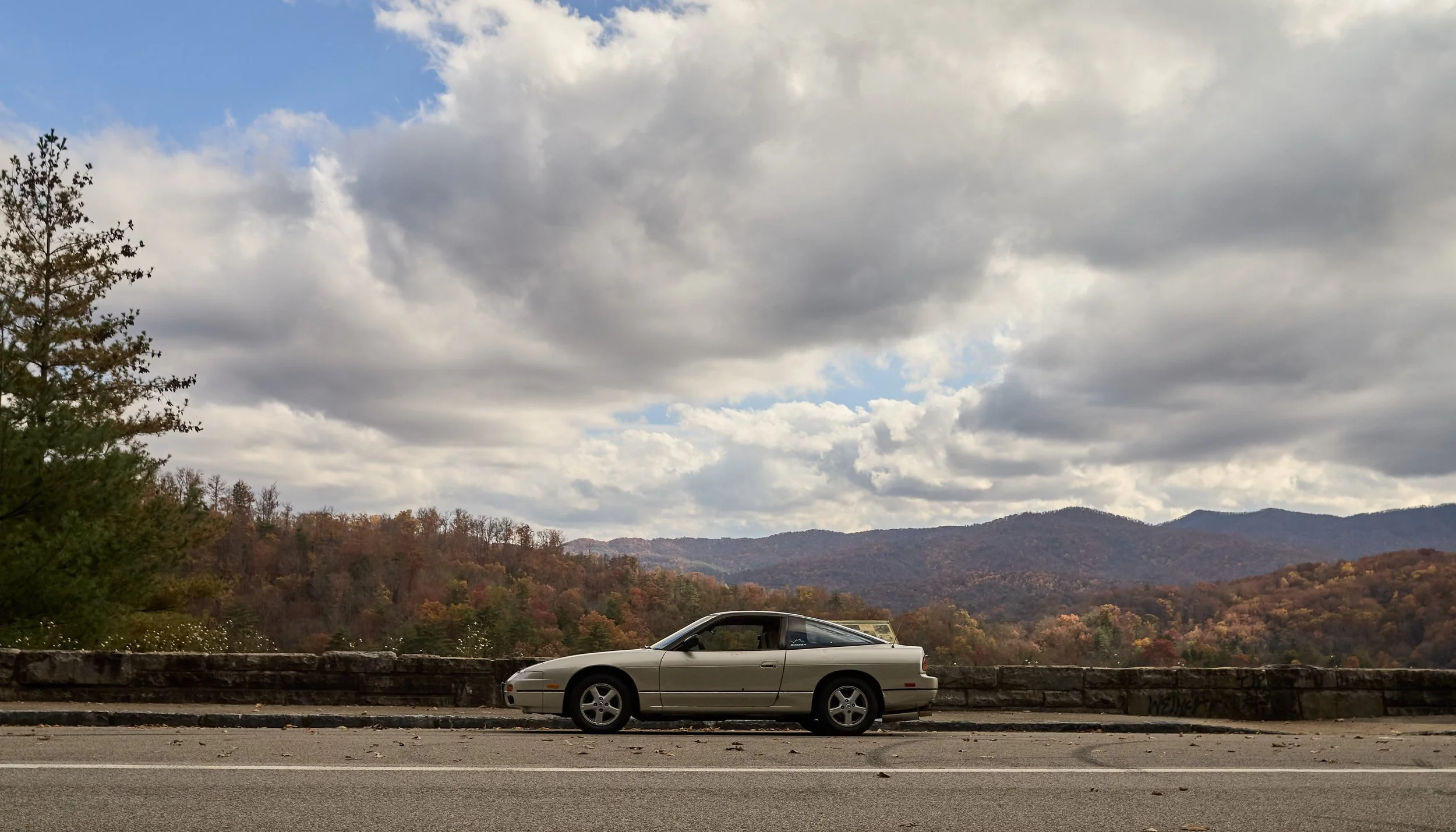 IMG_0165 bright 36.jpg