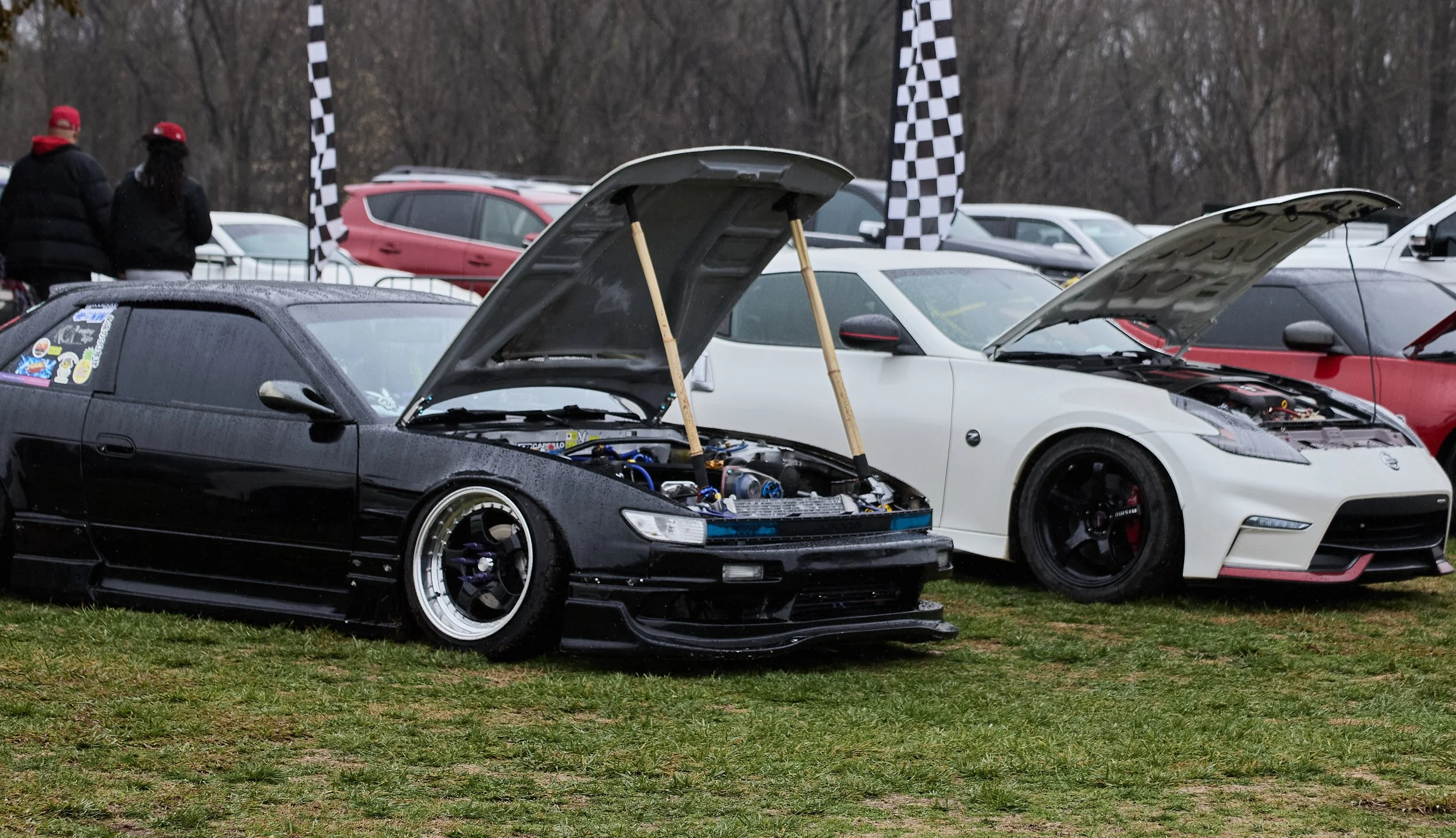 IMG_0165 bright 66.jpg