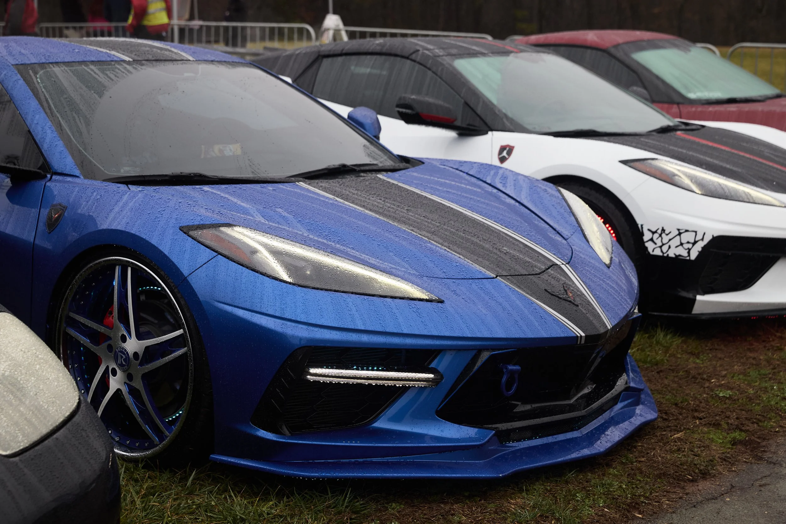 IMG_0165 bright 46.jpg