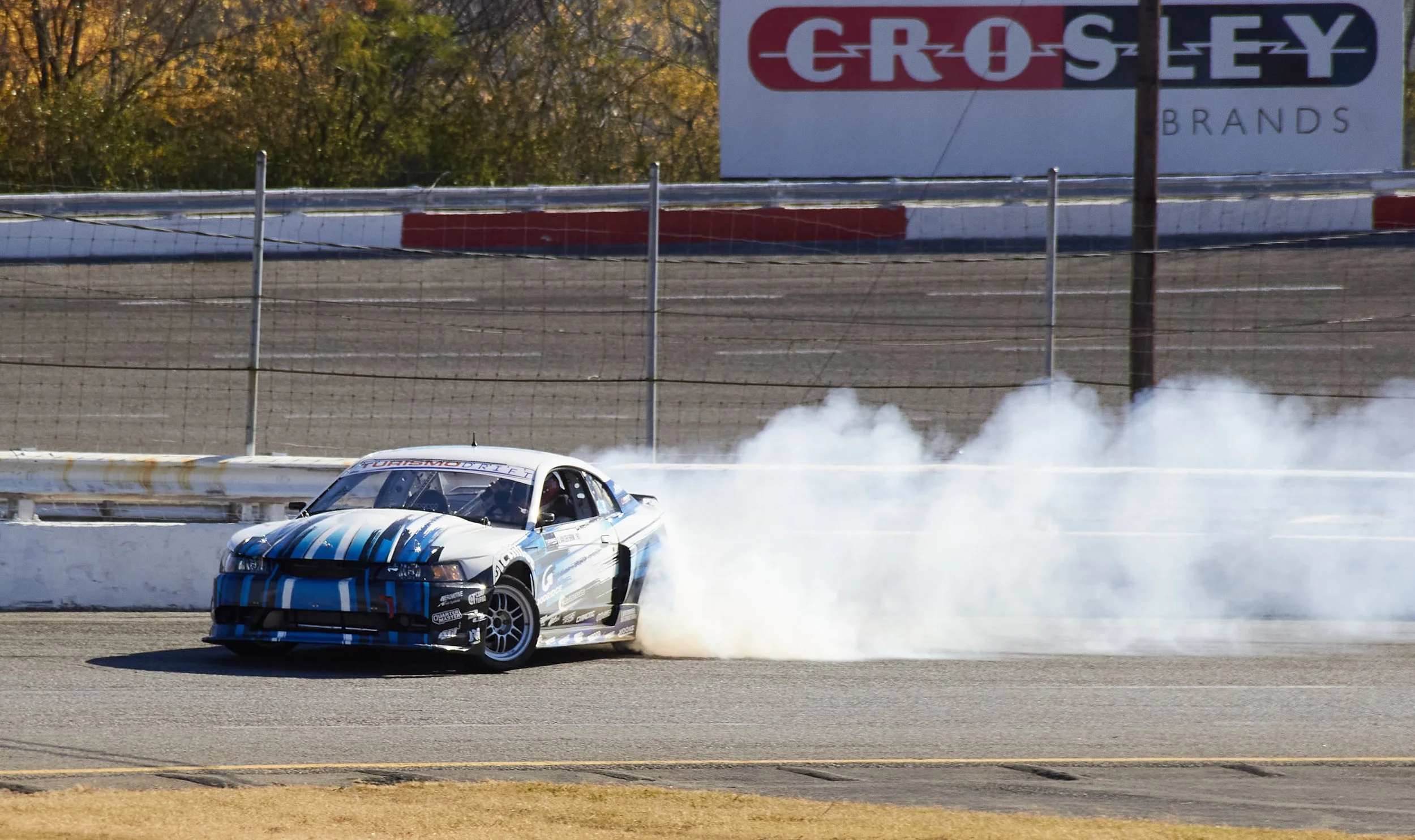 IMG_0165 bright 61.jpg