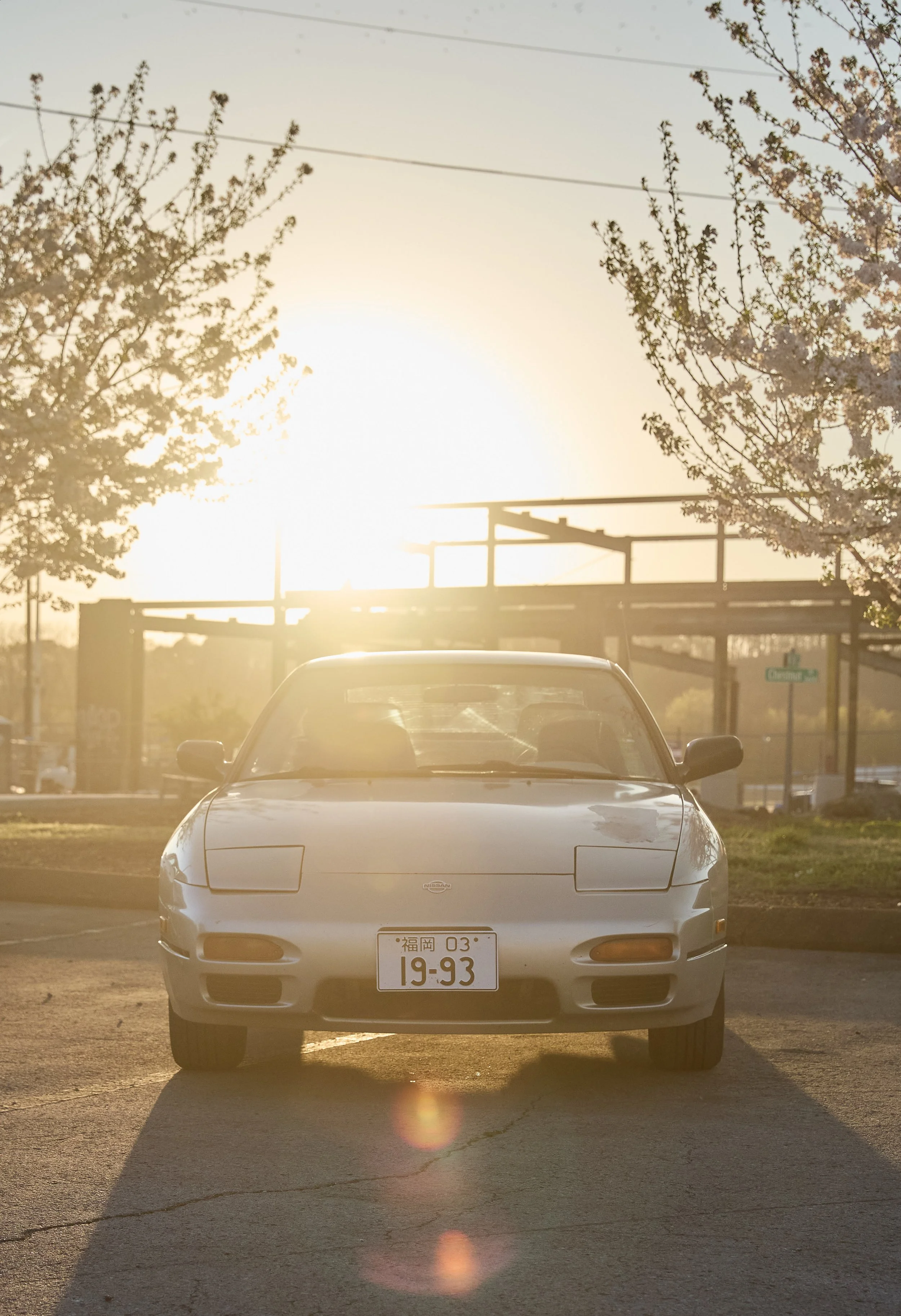 IMG_0165 bright 18.jpg